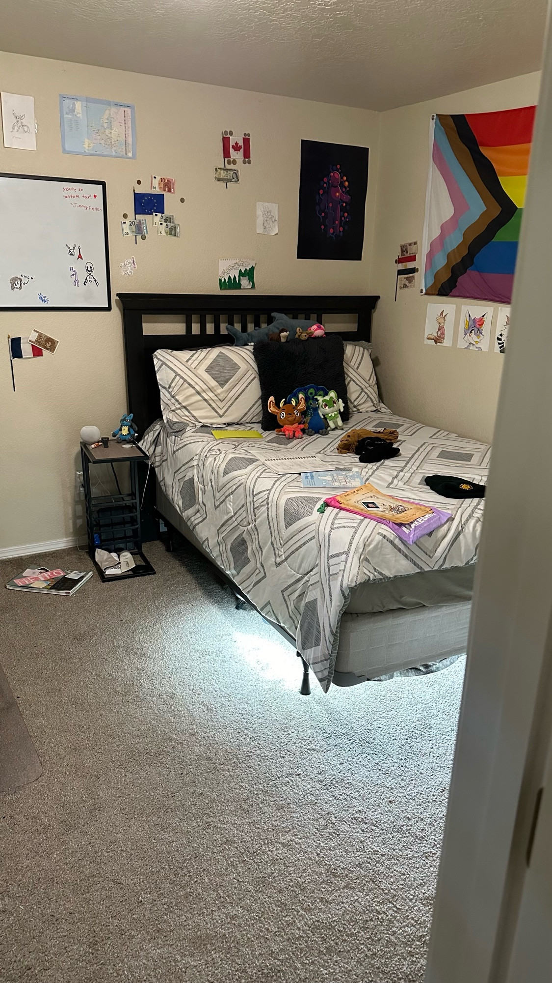 zoomed out picture of my room, with my recently arrived Emile (from the comic Blades of Furry) plush in the center of the picture sitting on my bed