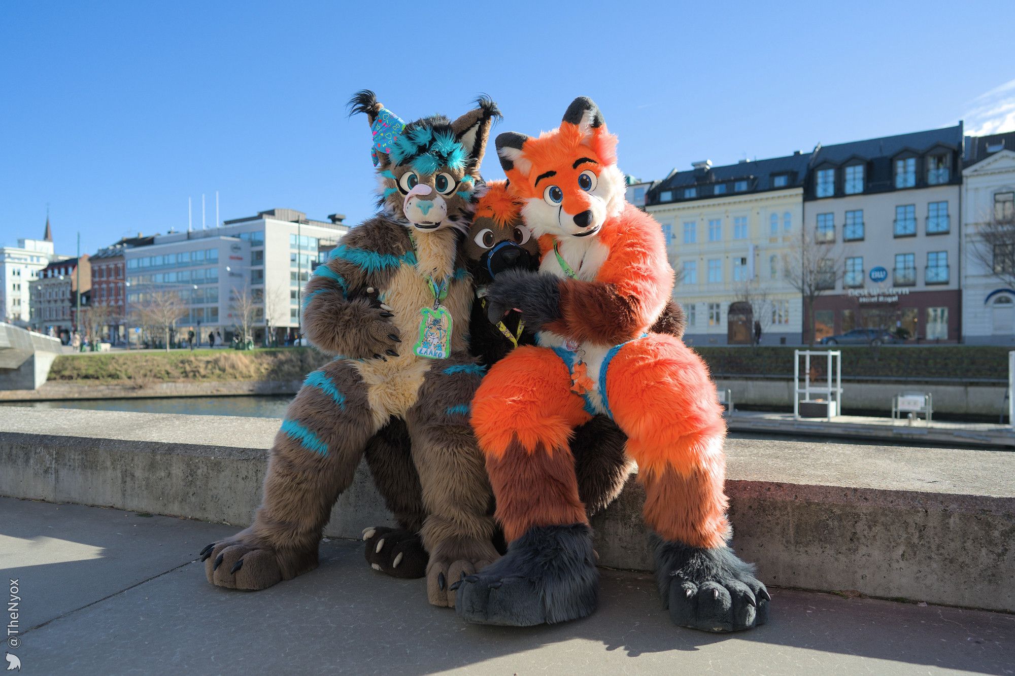 a brown-cyan lynx fursuiter and a orange fox fursuiter sitting next to a mostly hidden dog fursuiter