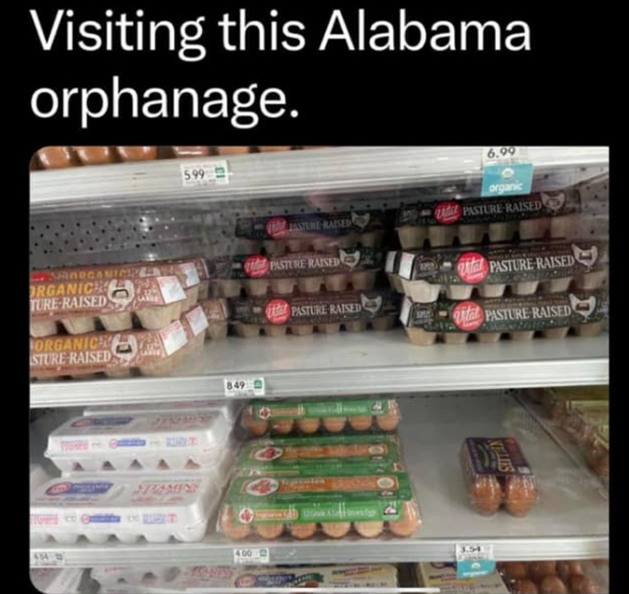 Eggs on shelf = Alabama Orphanage