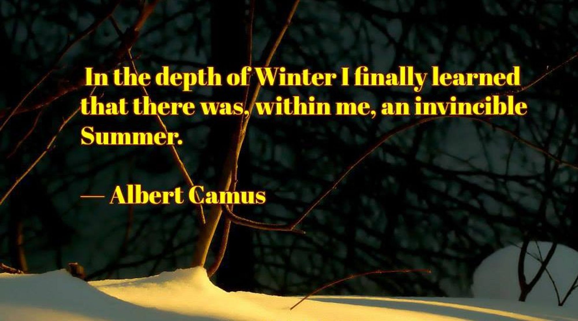 “In the depth of Winter I finally learned that there was, within me, an invincible Summer.” — Albert Camus