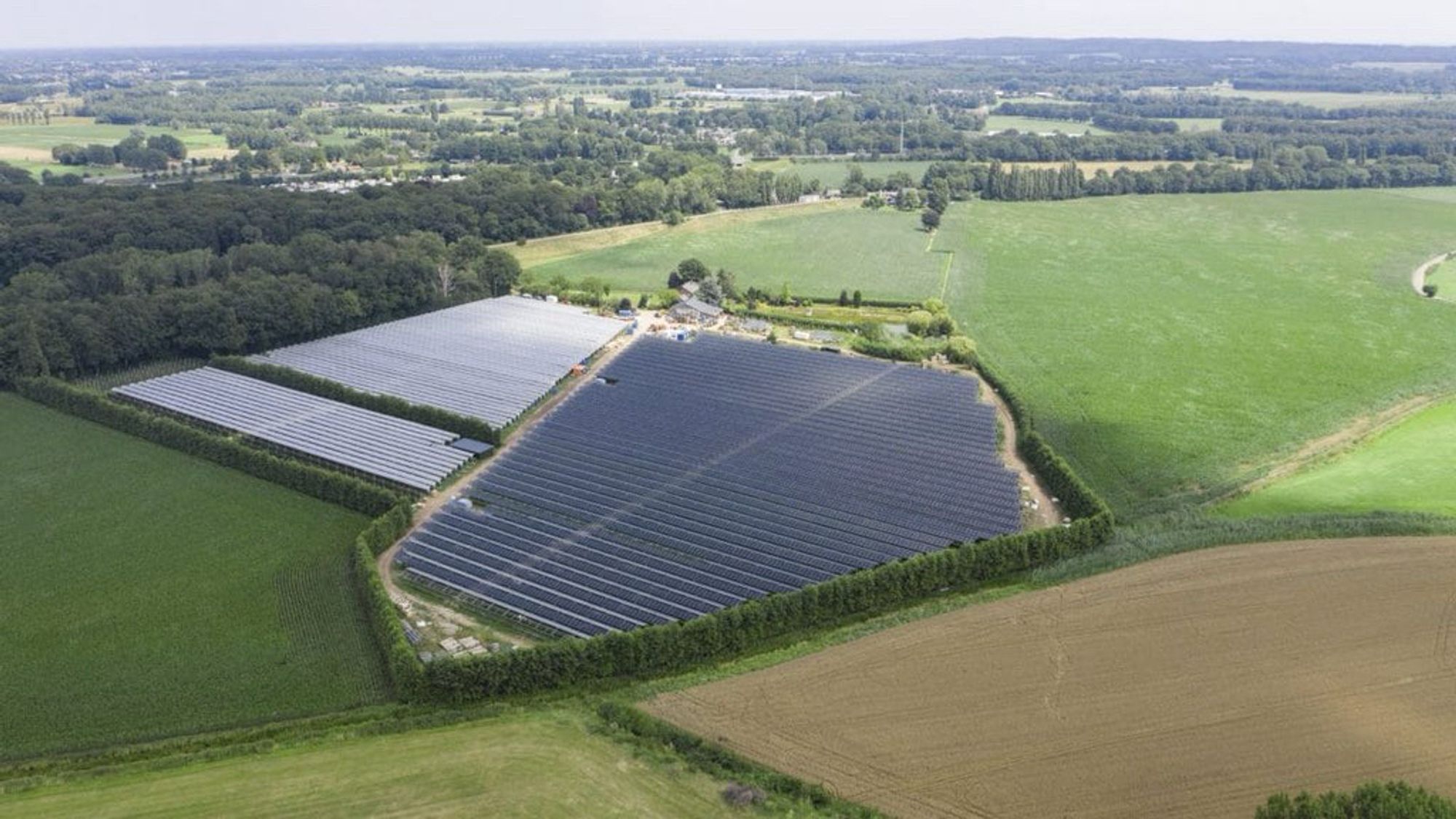 This raspberry field in Babberich, Netherlands, is sheltered from the wind and protected from view between hedges and trees. On the left, by the forest, you can still see rows with plastic films (the old method to avoid overexposure of sun), while on the right, the raspberry PV installation runs from north to south. Image: BayWa r.e