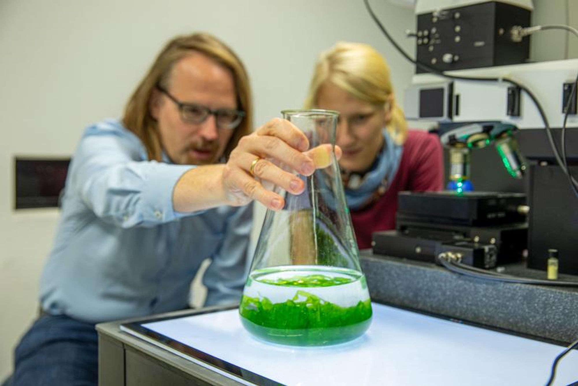 Constanze Schultz (right) from Leibniz IPHT and Dr. Thomas Wichard from the University of Jena use Raman spectroscopy to study the growth of the green alga Ulva. - Copyright Leibniz IPHT