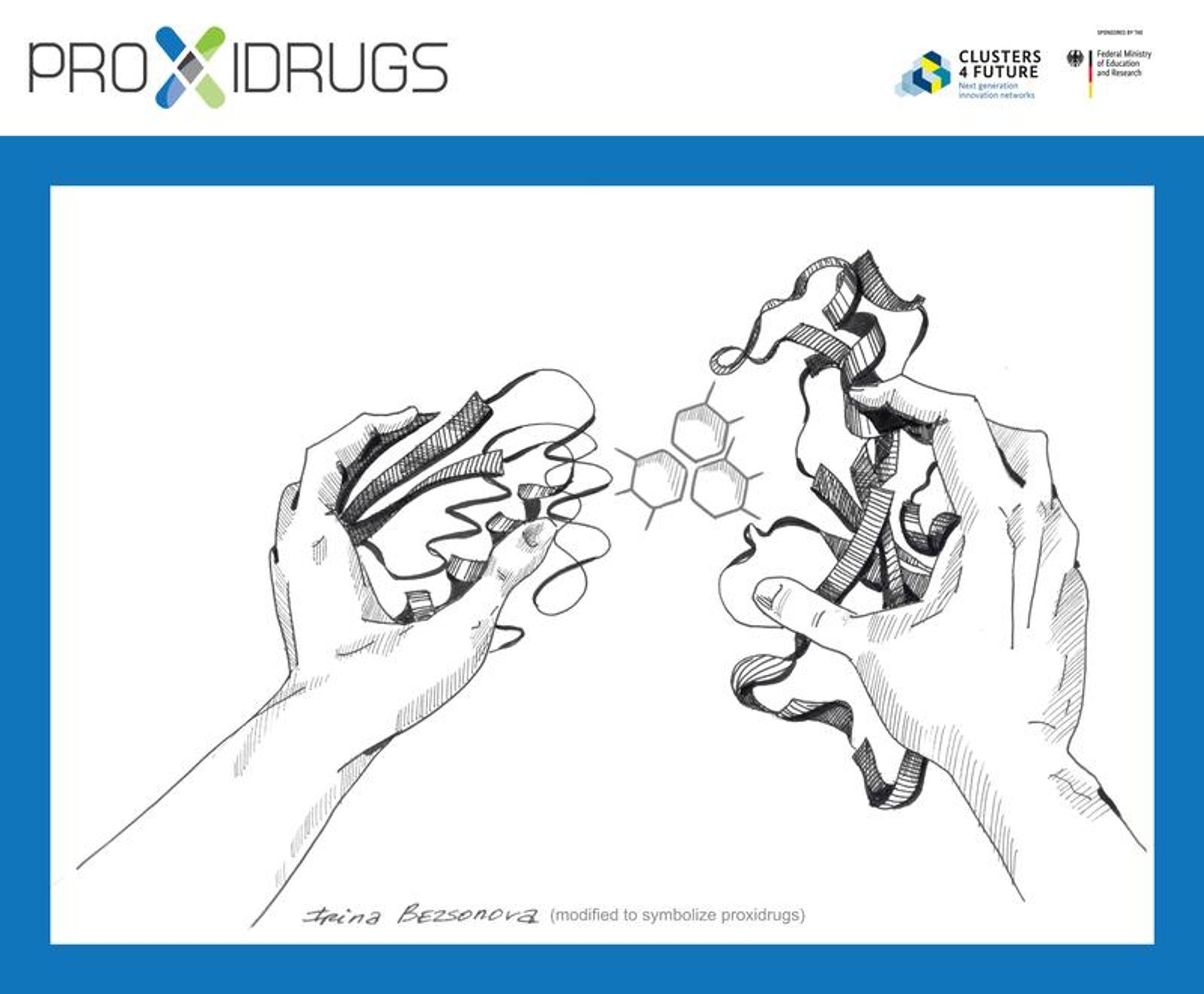 Symbolic representation of the PROXIDRUGS’ function: The active substance brings 2 proteins together like the two hands shown here. (Illustration adapted after Irina Bezsonova)  - Copyright Goethe University Frankfurt