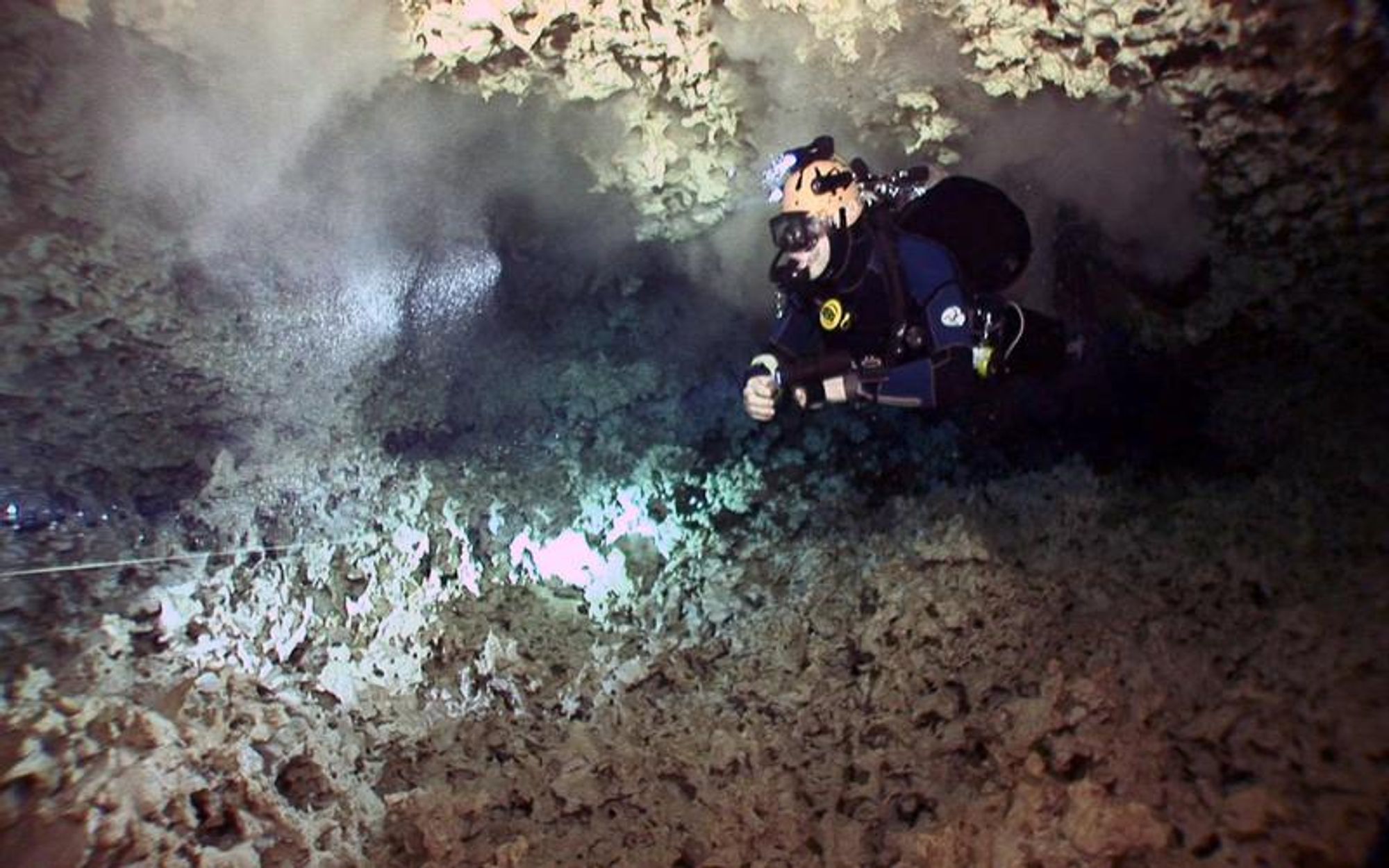 Tauchgang in den Cenoten: Die Forschenden sammeln den Unterwasserkrebs Xibalbanus tulumensis, der nur hier vorkommt. - Copyright Goethe-Universität Frankfurt