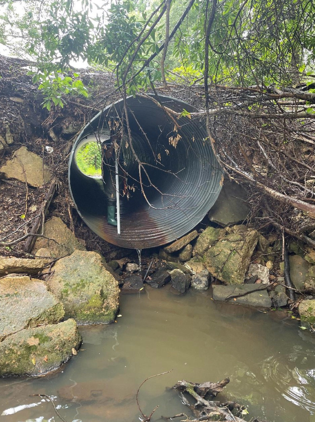 A round culvert with a trickling flow perched above a turbid pool in a small creek.