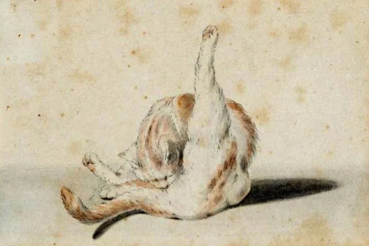 A shorthaired white and ginger cat sitting rolled up on its back/butt with one hit leg straight up into the air, intensely cleaning its butt.