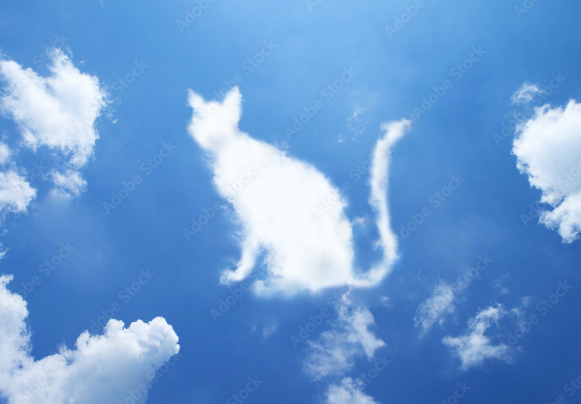 A stock image of a placid blue sky with a few puffy clouds. In the center, cloud textures have been digitally manipulated to resemble a sitting cat with long tail. You can faintly make out the "adobe stock" watermark.