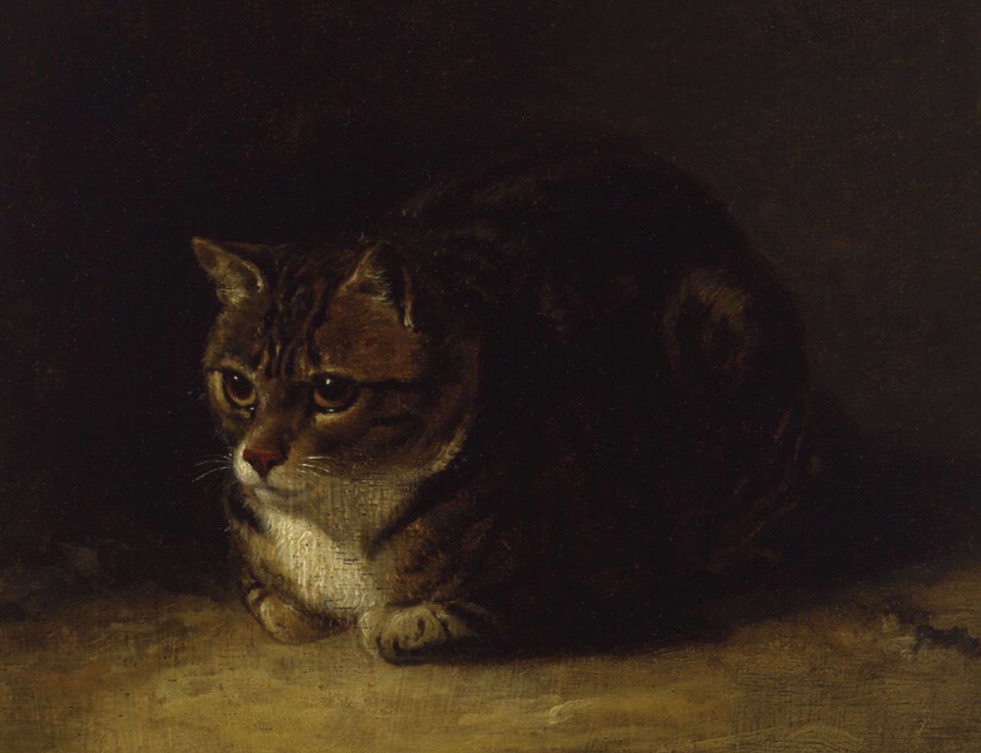 Dark oil painting of a brown tuxedo tabby cat sitting in the upright loaf position with front paws tucked under, just a little warm light source that is barely enough to illuminate the cat's face and chest. It has a very sweet and calm expression.