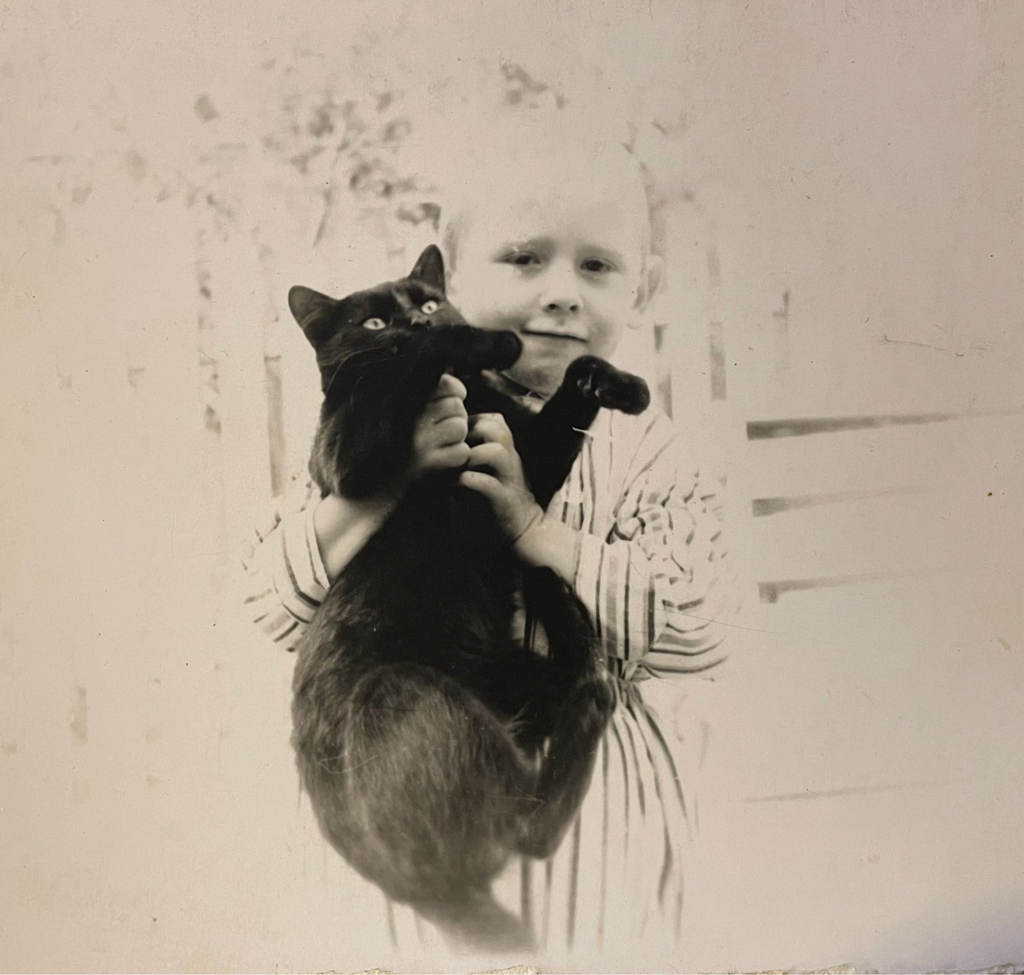 Black and white photo of a young boy in a striped shirt, possibly pajamas, looking at the camera and holding up a beautiful shorthaired black cat. He’s holding the cat all wrong, unfortunately, having grabbed it around the rib cage with no support for its hind legs and butt. Frustration and discomfort shows on the cats face, but you can see that the situation is temporary and the cat is in no real danger. The boy and background are quite white and blown out, but this level of exposure meant that the dark cat was captured perfectly instead of details being lost.