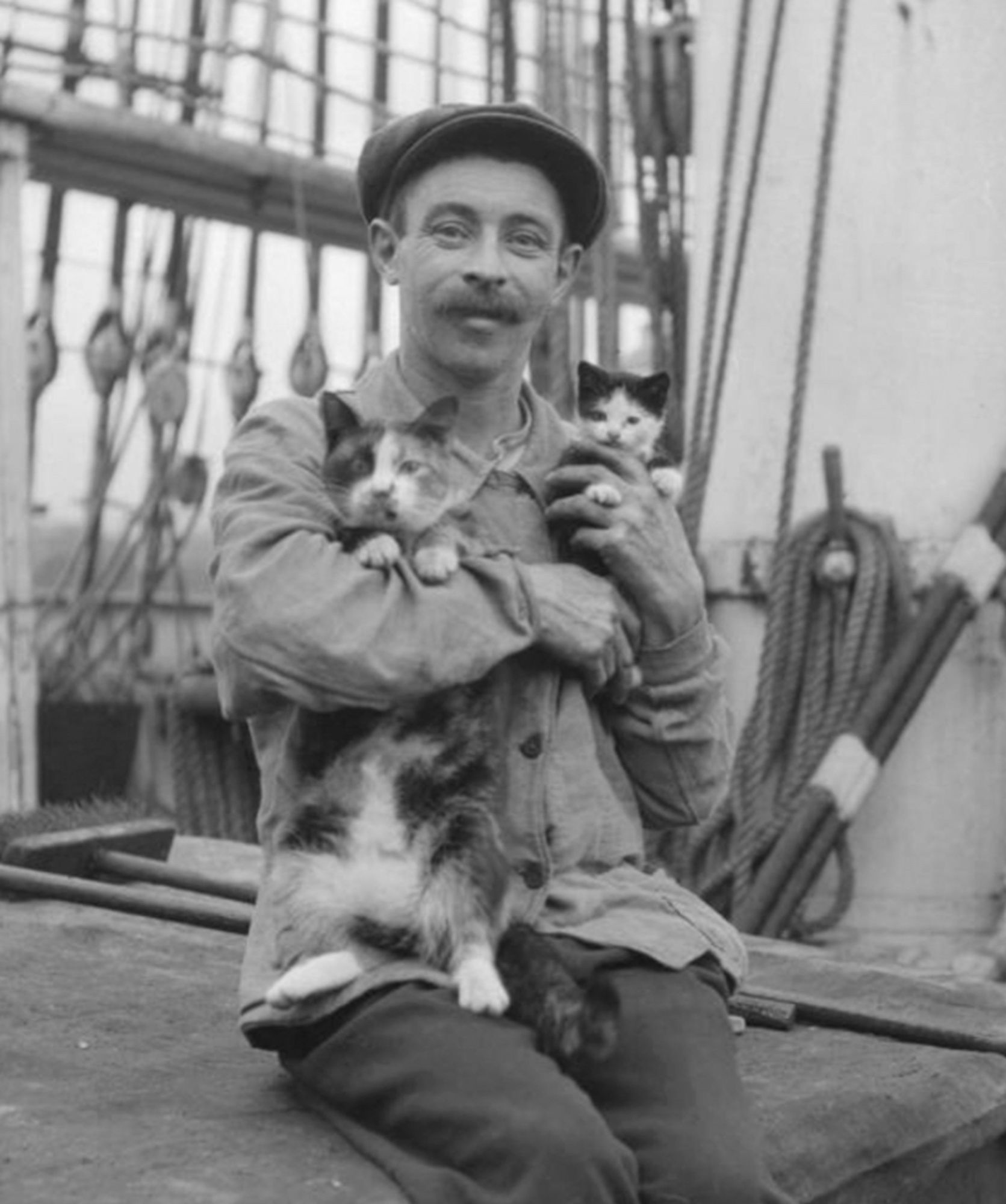 Black and white photo of a cheerful looking slim white man with a nice, full mustache. He is sitting on the deck of a ship, proudly holding up a calico cat and a kitten which seems to be a tuxedo. All three appear healthy and look confidently at the camera.