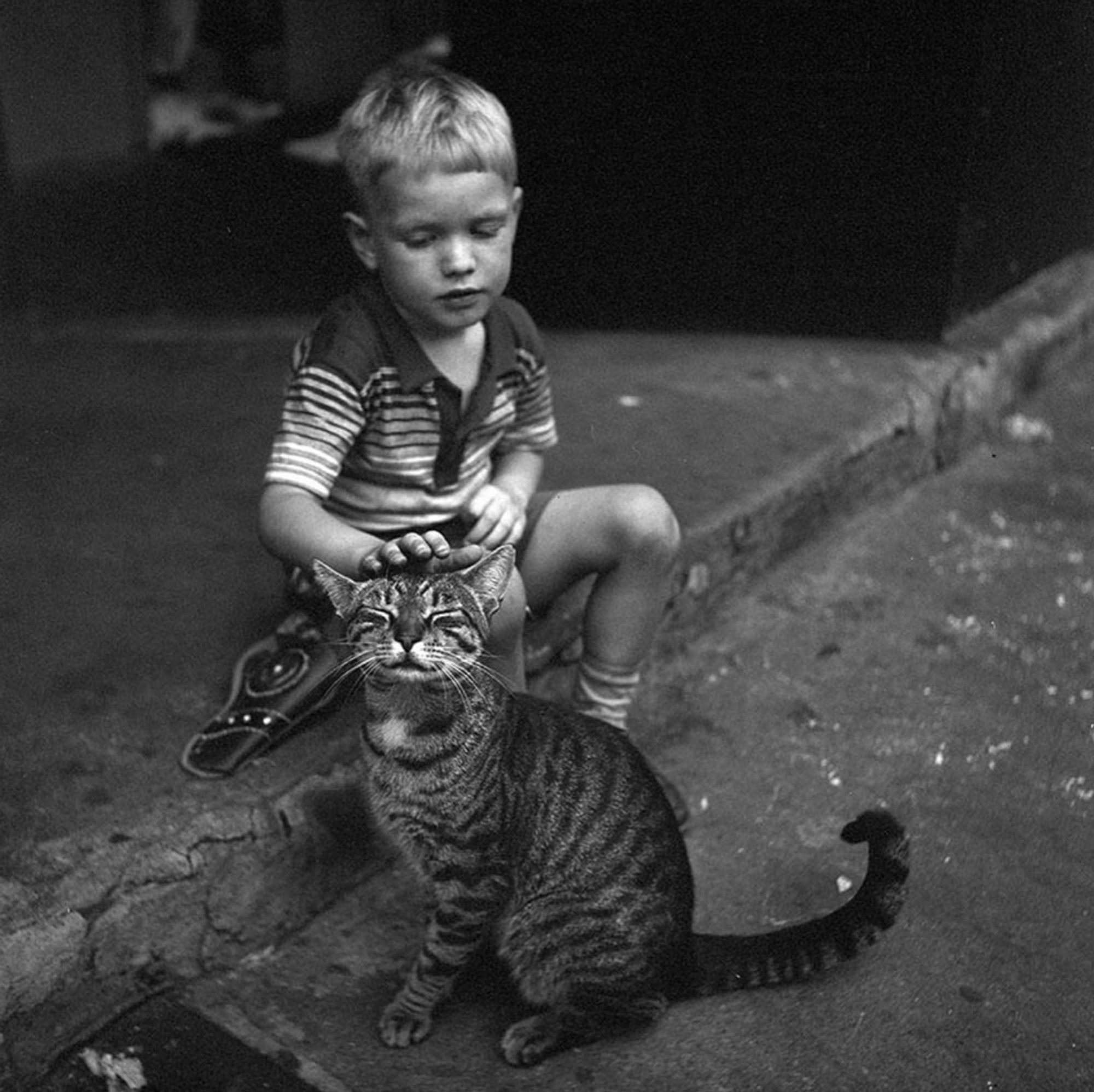 Black and white photo of a little blonde white boy sitting on a curb, looking down at a shorthaired tabby cat which is blissfully receiving the boy's pets on its head.