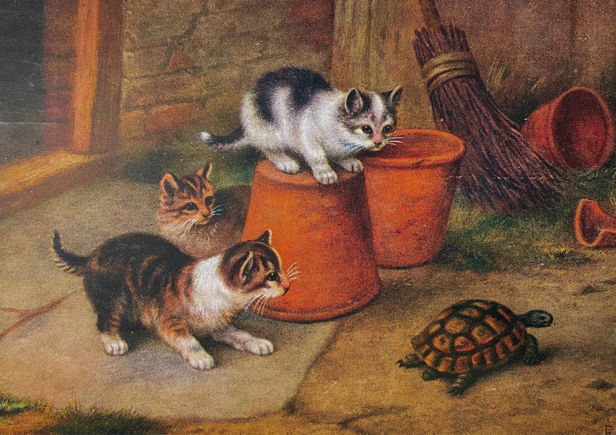 Postcard featuring a painting of three kittens, a white and black, a brown tuxedo tabby, and brown tabby, sitting on and around some terra gotta pots outside looking very inquisitively at a tortoise that is trundling by obliviously.