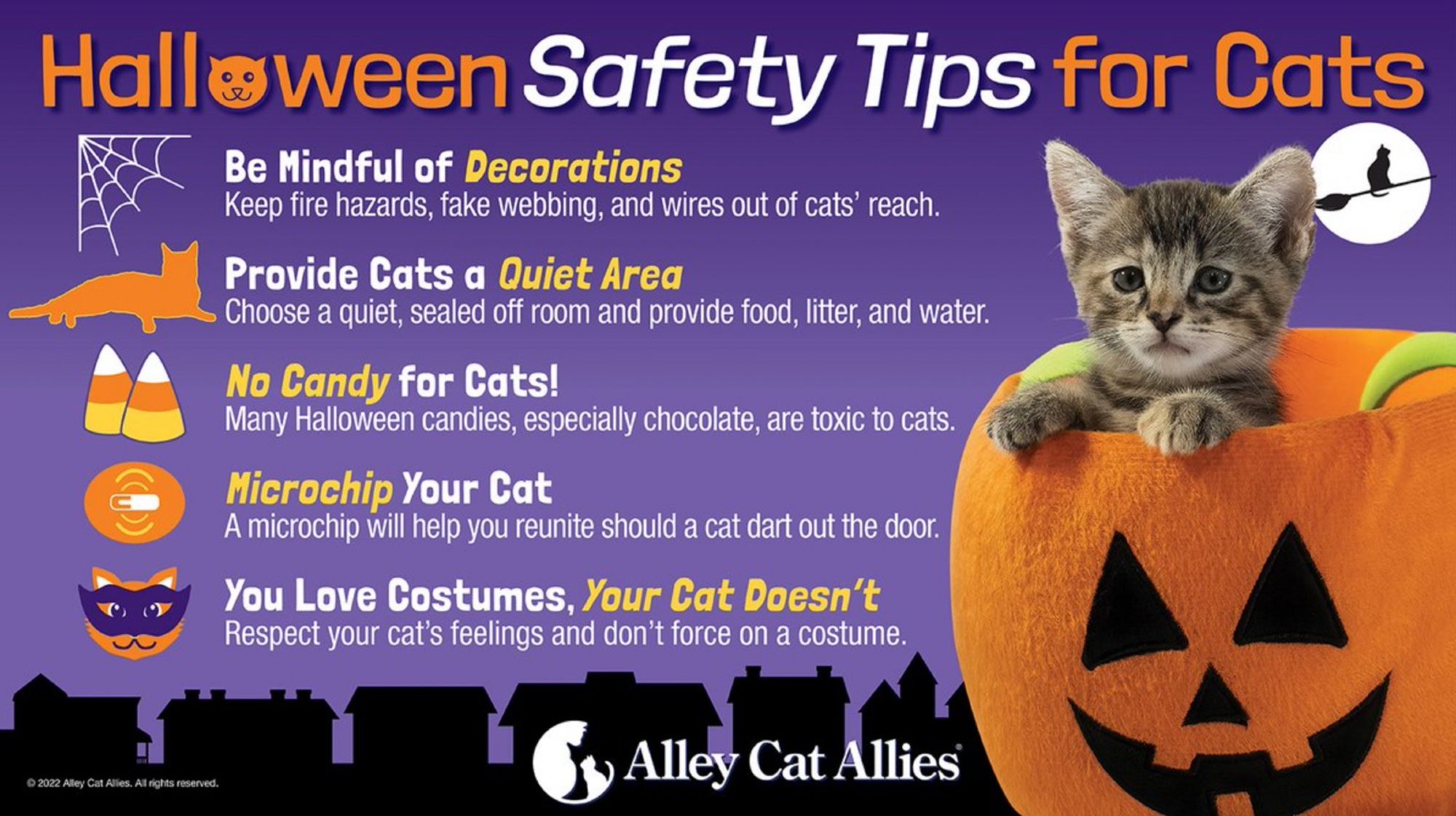 Purple graphic with text over most of it and a photo of a tabby kitten in a plush jack-o-lantern on the right side. The text reads:
"Halloween safety tips for cats
Be mindful of decorations - keep fire hazards, fake webbing, and wires out of cats' reach. Provide cats a quiet area - choose a quiet, sealed off room and provide food, litter, and water. No candy for cats! Many halloween candies, especially chocolate, are toxic to cats. Microchip your cat. A microchip will help you reunite should a cat dart out the door. Your love costumes, your cat doesn't. Respect your cat's feelings and don't force on a costume."