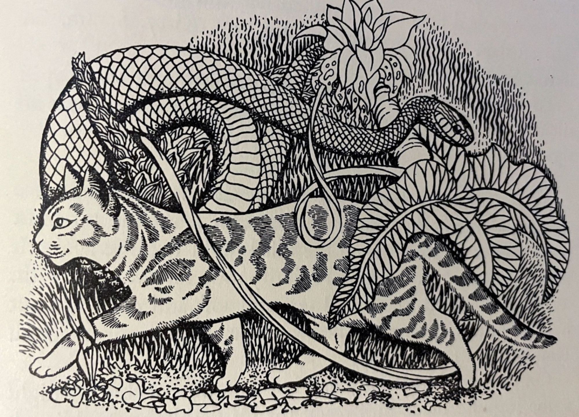 Black line illustration on white paper of a shorthaired tabby cat marching confidently through a jungle scene. It is unperturbed by the foliage, vines, flowers, and beautiful snake that swirl around it.