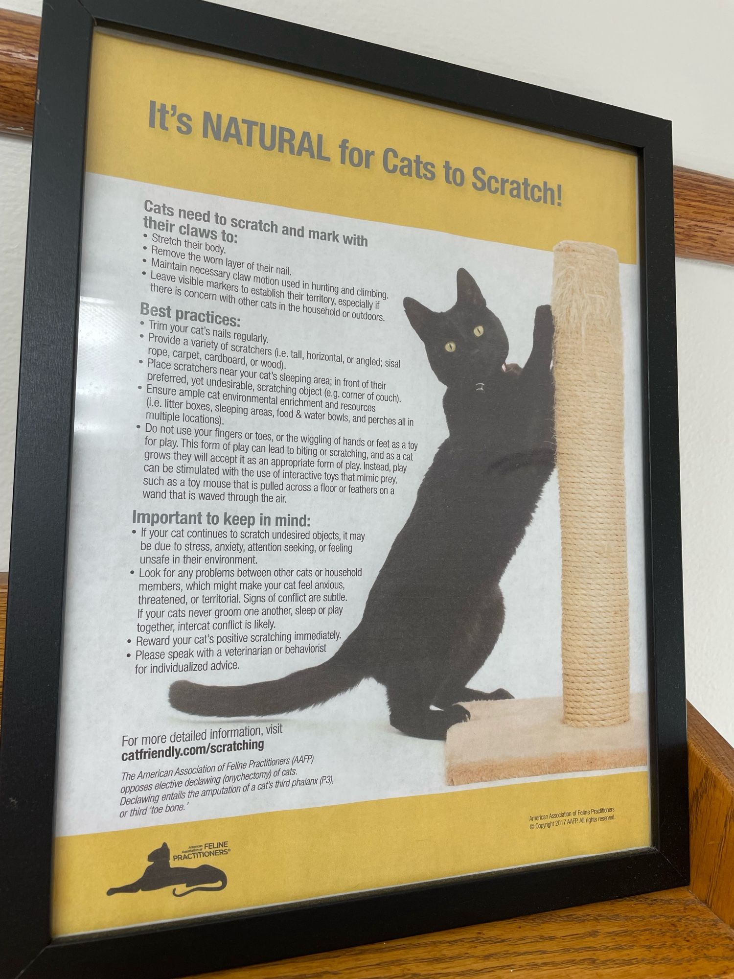 Photo of a shorthair black cat scratching a scratching post and looking at the viewer on the right side of a framed poster. On the left side is a bunch of text that is too small to read without zooming in on the photo but it basically says that scratching is a natural behavior and gives tips for controlling unwanted scratching.