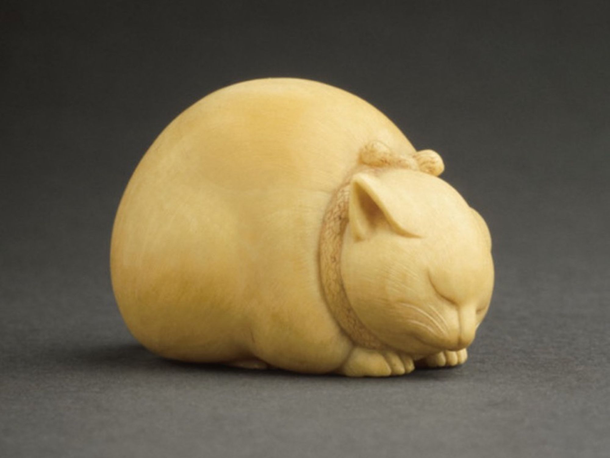 A pleasantly round and soft-looking ivory carving of a very fat cat,  yellowed with age. It is curled into an upright sleeping position, its front paws are barely visible, neatly tucked under its chin.