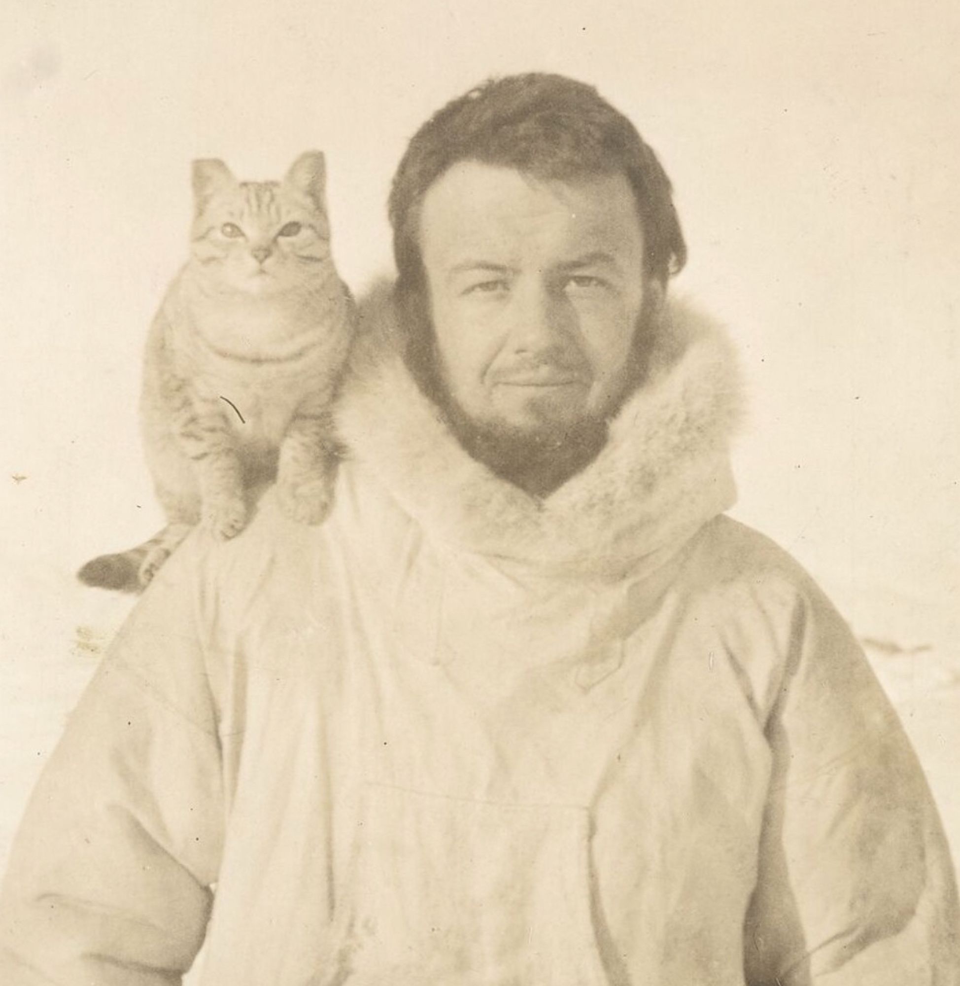 Black and white photo of a bearded white man in light colored heavy arctic winter coat with fur trimmed hood, looking stoically at the camera but with a slight smile. On his shoulder a shorthaired tabby cat sits, perched confidently, staring firmly into the camera as if aware that a portrait is being taken. This appears to be taken outdoors in winter as the background is blown out white.