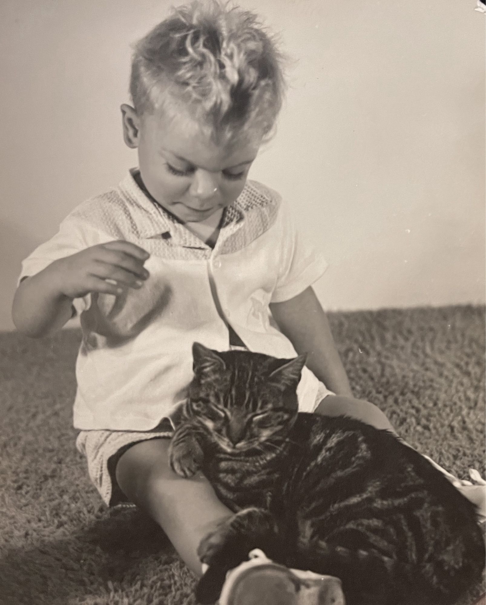 Black and white photo of a blonde, white toddler sitting up on a carpet. It is looking down at a shorthaired tabby cat which is snoozing contentedly curled up in the child’s lap.