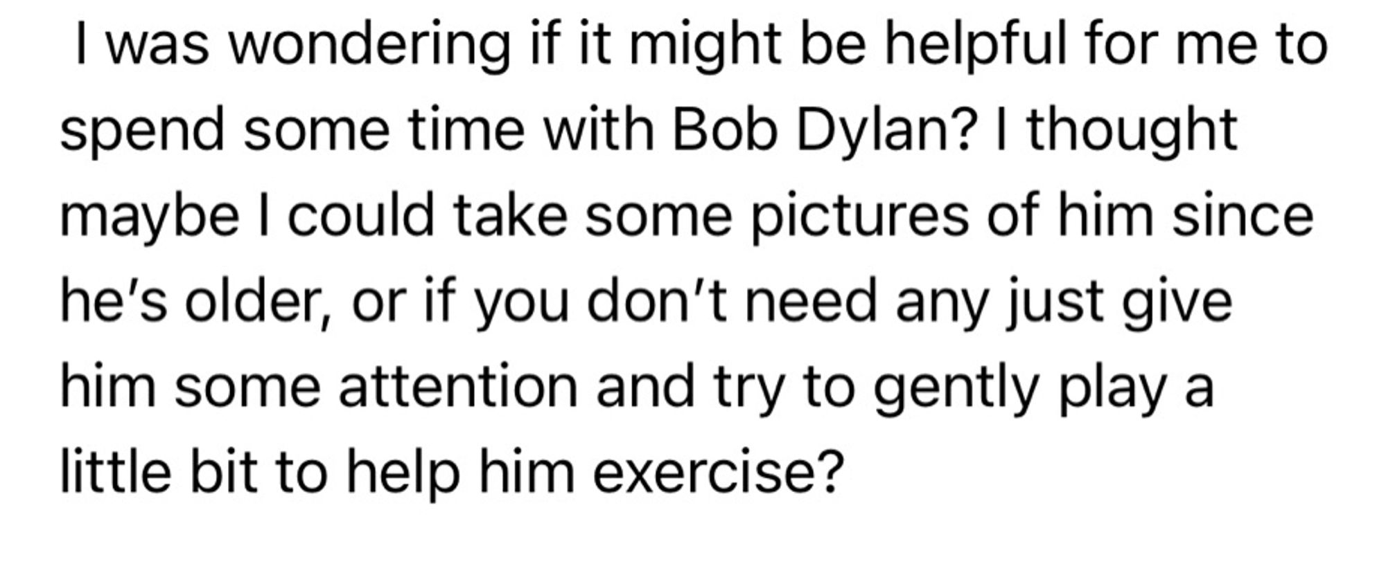 Screenshot of text from an email that reads “I was wondering if it might be helpful for me to spend some time with Bob Dylan? I thought maybe I could take some pictures of him since he’s older, or if you don’t need any just give him some attention and try to gently play a little bit to help him exercise?”