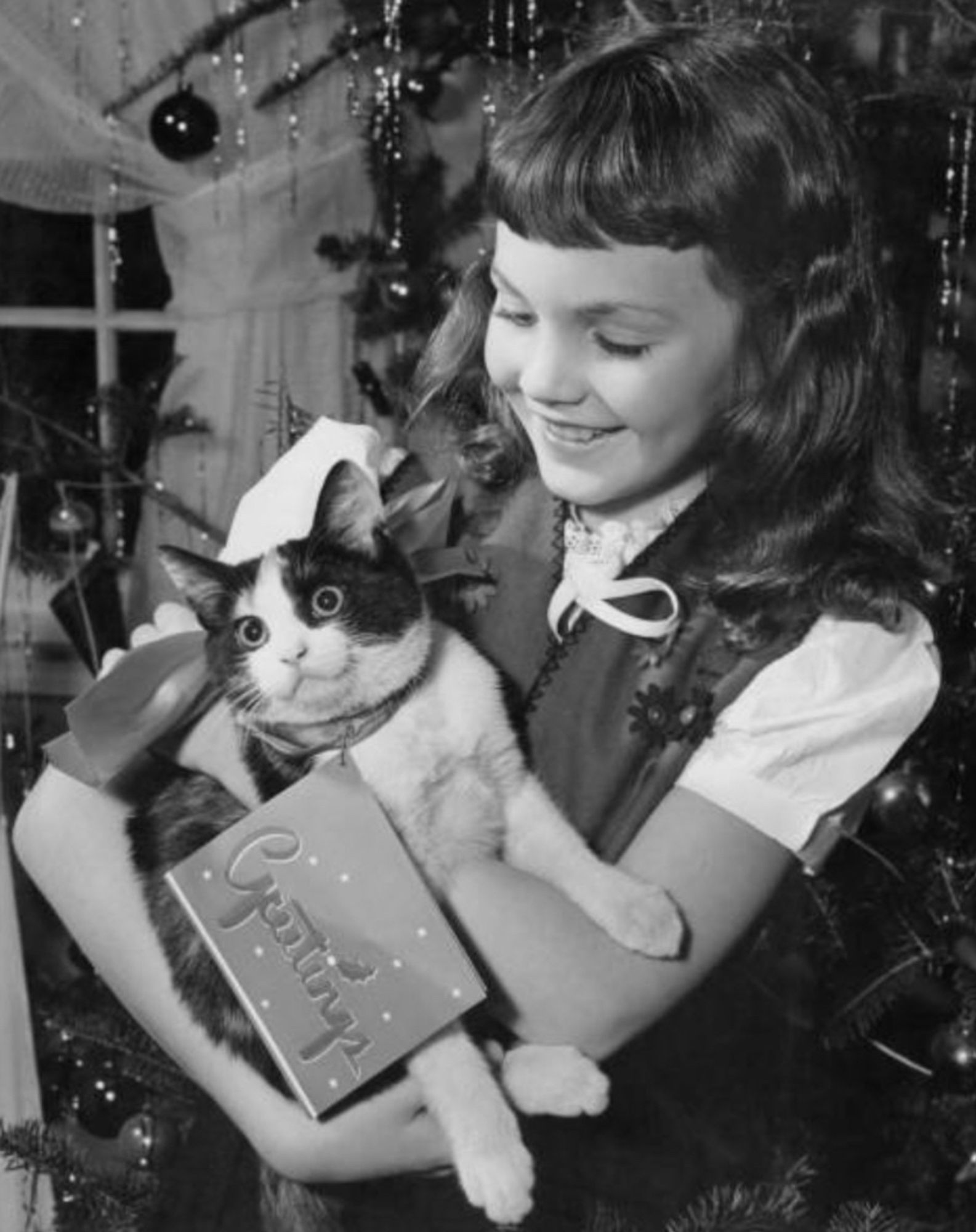 Black and white photo of a young white girl with brown hair standing in front of a christmas tree, beaming at a tuxedo kitten in her arms. The kitten is VERY wide eyed, kind of looking like it is on a bad acid trip.