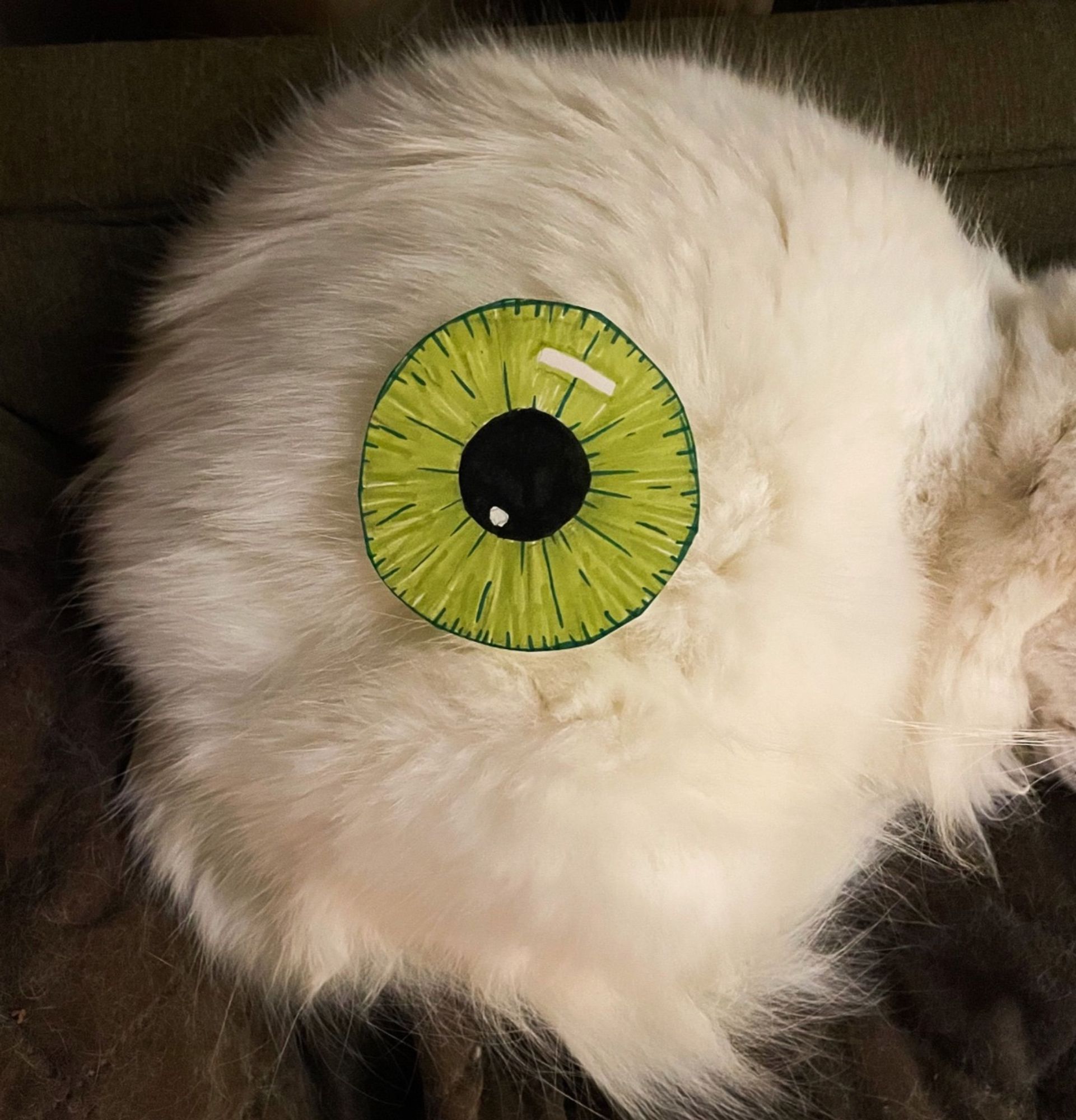 My fluffy white cat Francie curled up in a ball. Placed in the center of the white circle her body forms is a round piece of paper decorated with marker to look like a green human iris. It makes Francie look like a big hairy eyeball.