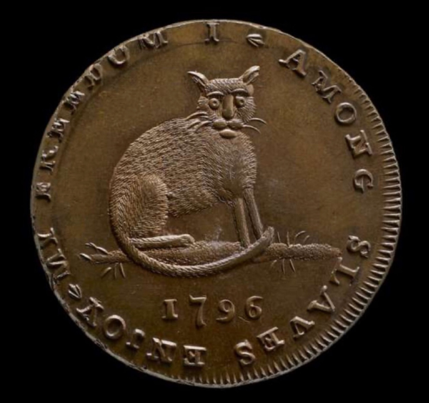 Color photo of a copper coin. The words "I among slaves enjoy my freedom" go around the edge, and in the center is a folk art cat with vaguely anthropomorphic face, sitting on a spiky branch. The date 1796 is written beneath the cat.