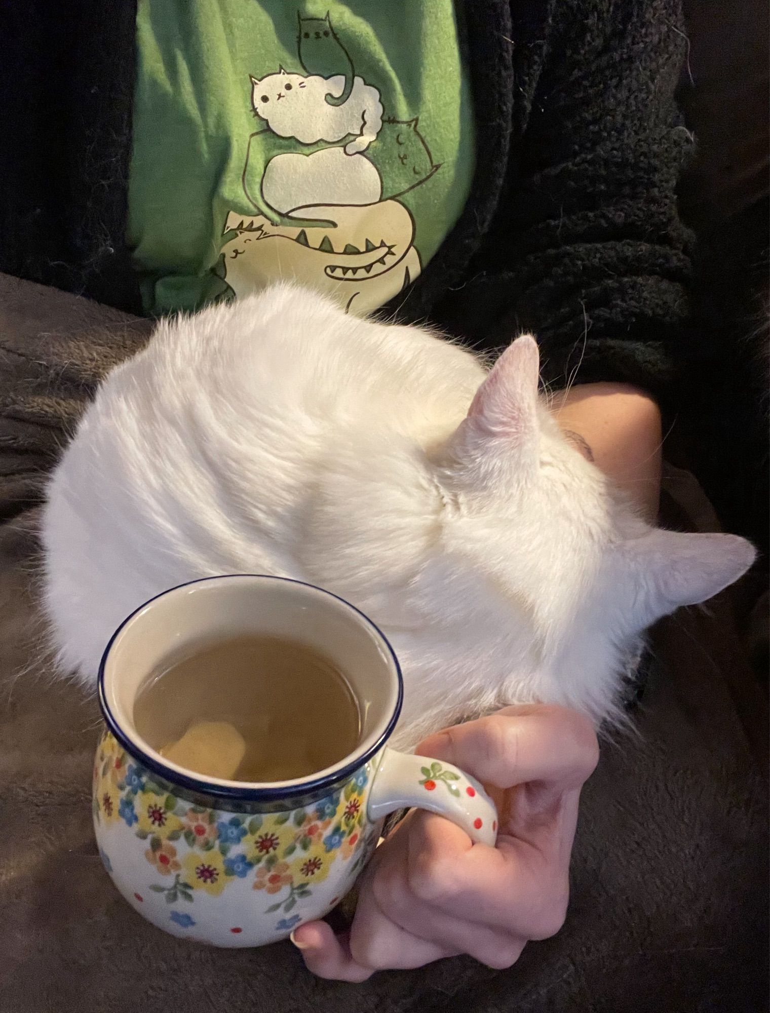 Photo of my fluffy white cat Francie asleep on my left arm in my lap, my left hand holding a cute floral potbellied mug of ginger tea. I’m wearing a green tee shirt with a stack of cartoon cats on it.