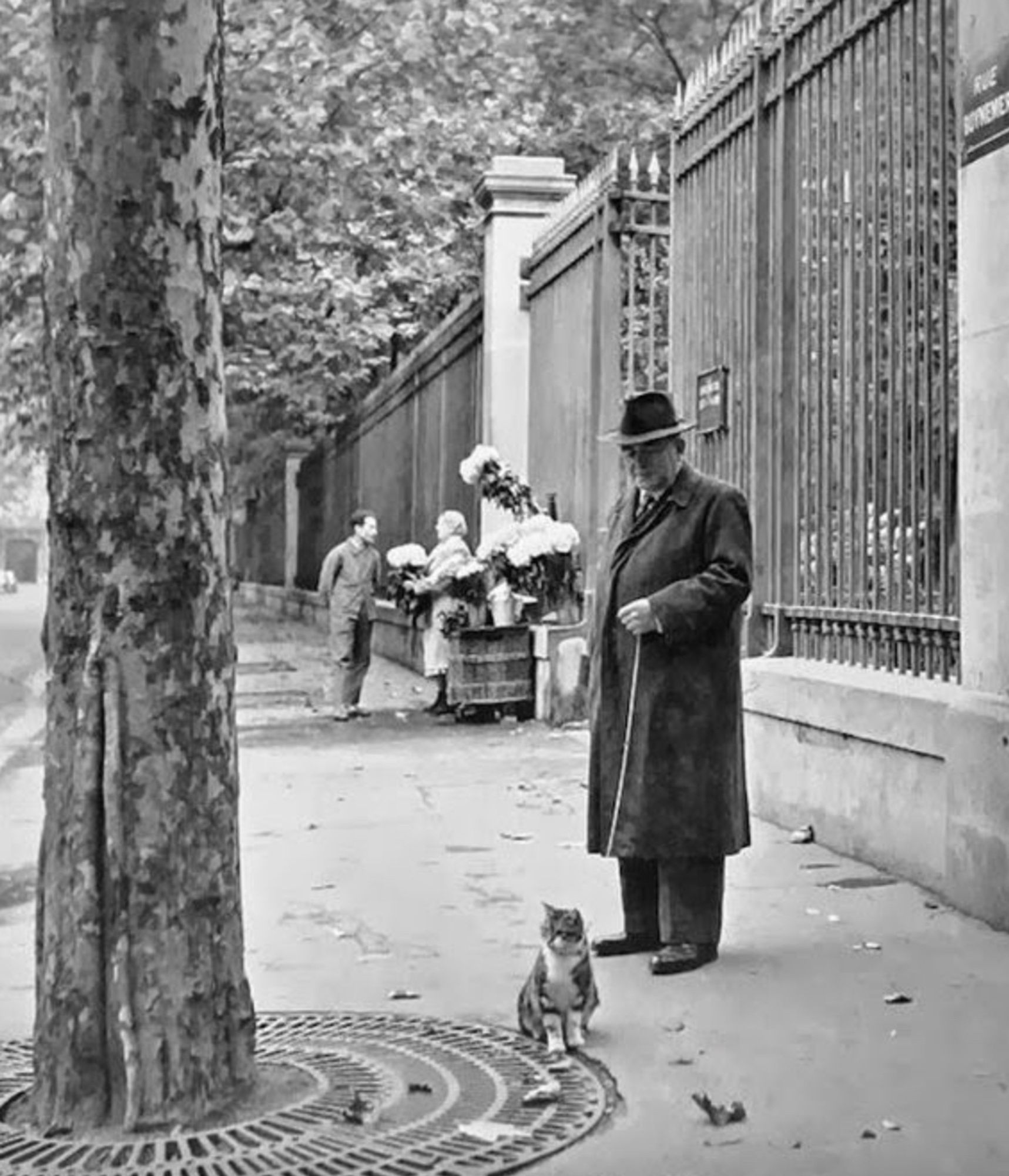 Black and white photo of an older white gentleman in a hat and overcoat, standing on a sidewalk next to a tree outside a very tall, elegant, wrought iron spike fence. He looks down affectionately at a little shorthaired tabby and white cat that he has on a leash. The cat is simply sitting and looking around, clearly the one in charge of the duo.