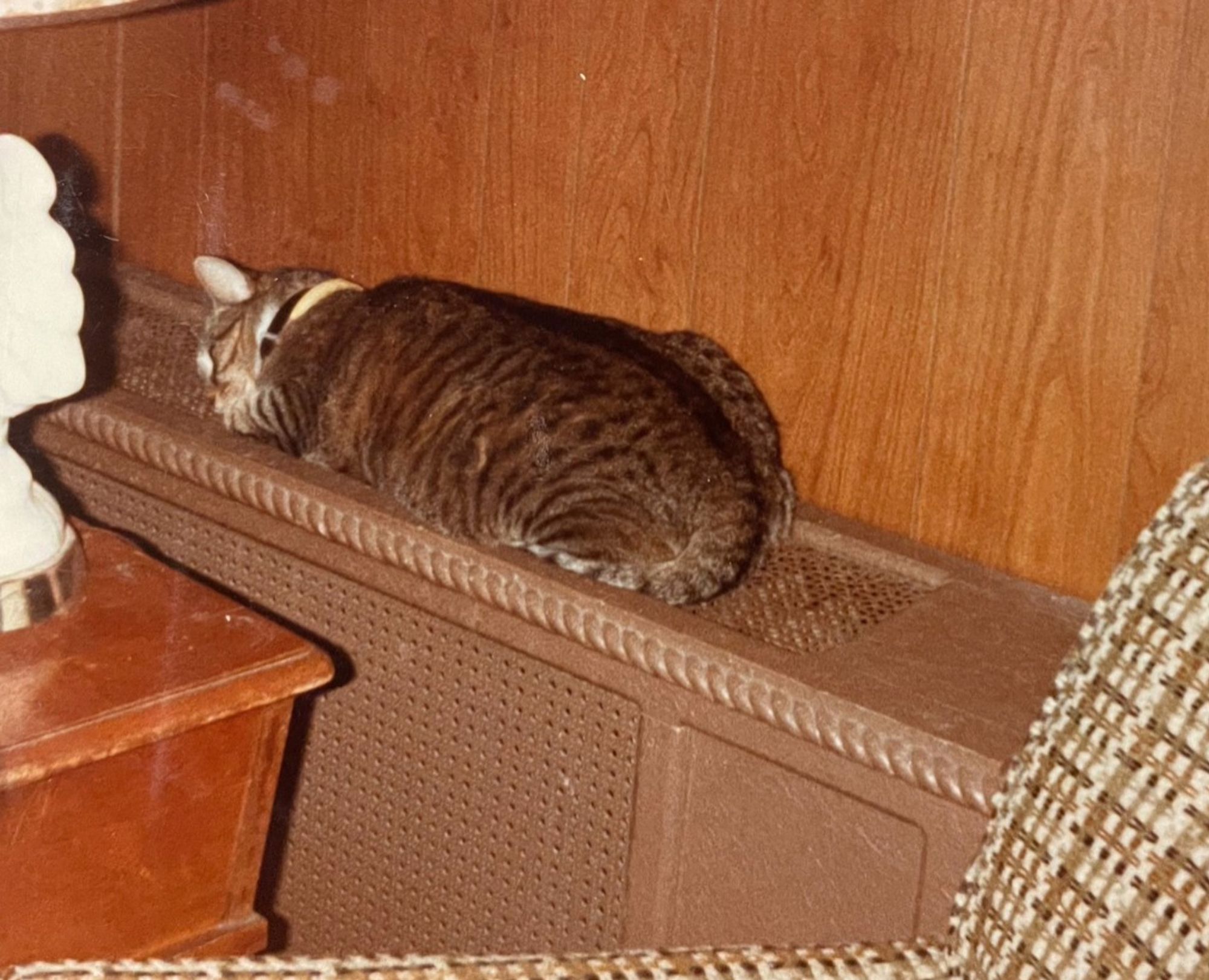 A plump brown tabby cat is lying on top of a brown radiator cover, in the form of a soft and pleasant loaf. The photo is warm with wood paneled walls and many other brown interior decorating tones of the 1970s.