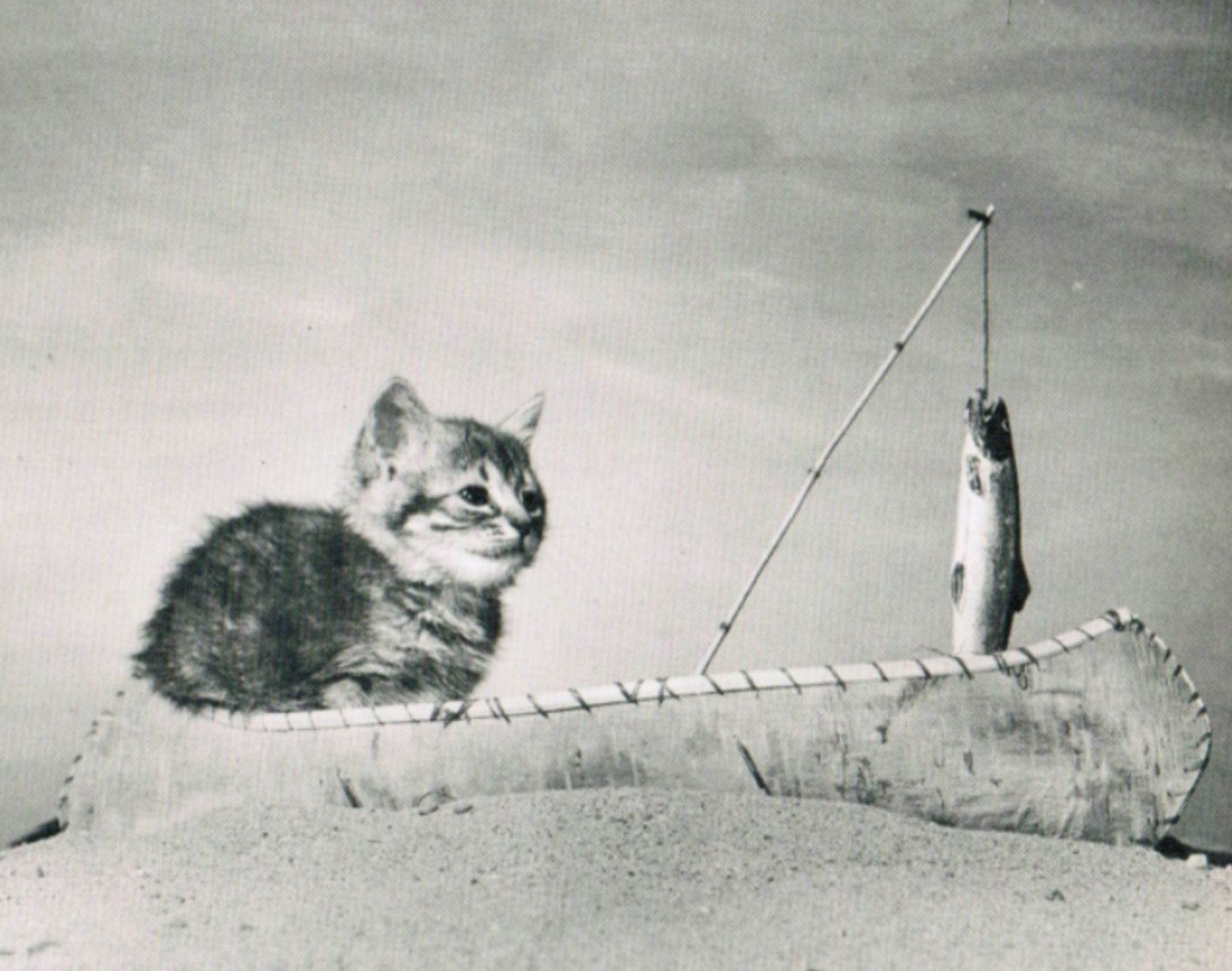 Black and white photo of a round little tabby kitten sitting in the end of a tiny birchbark canoe that is sitting in a heap of beach sand. Jutting up from the middle of the canoe is a tiny fishing pole with a fish dangling from it.