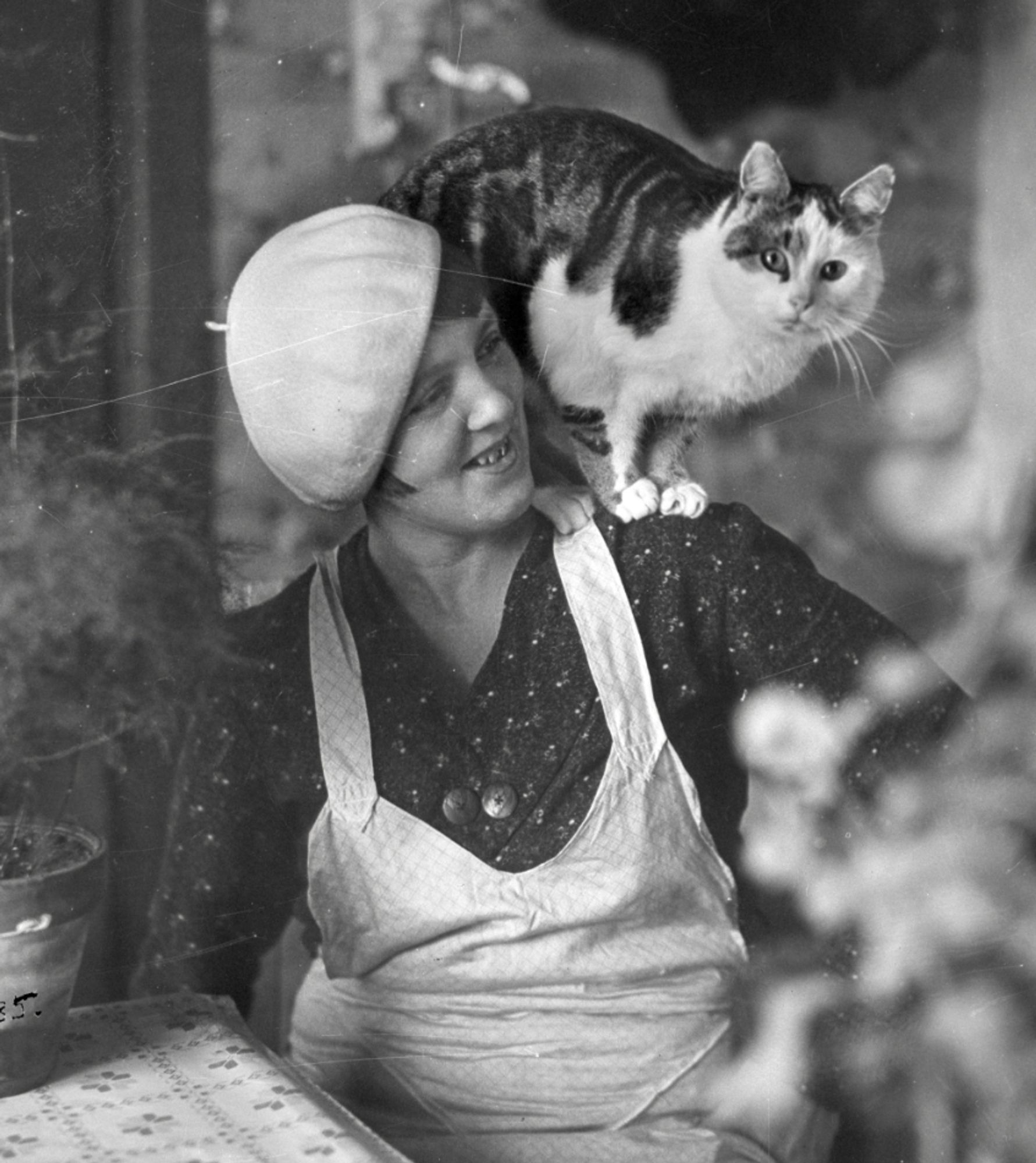 Black and white photo of a white woman in a light beret, dark dress with tiny floral print, and a a light colored apron, sitting at a kitchen table. She's smiling and looking to the left, while on her shoulder is perched a chubby shorthaired white and tabby cat that gazes confidently directly at the camera.