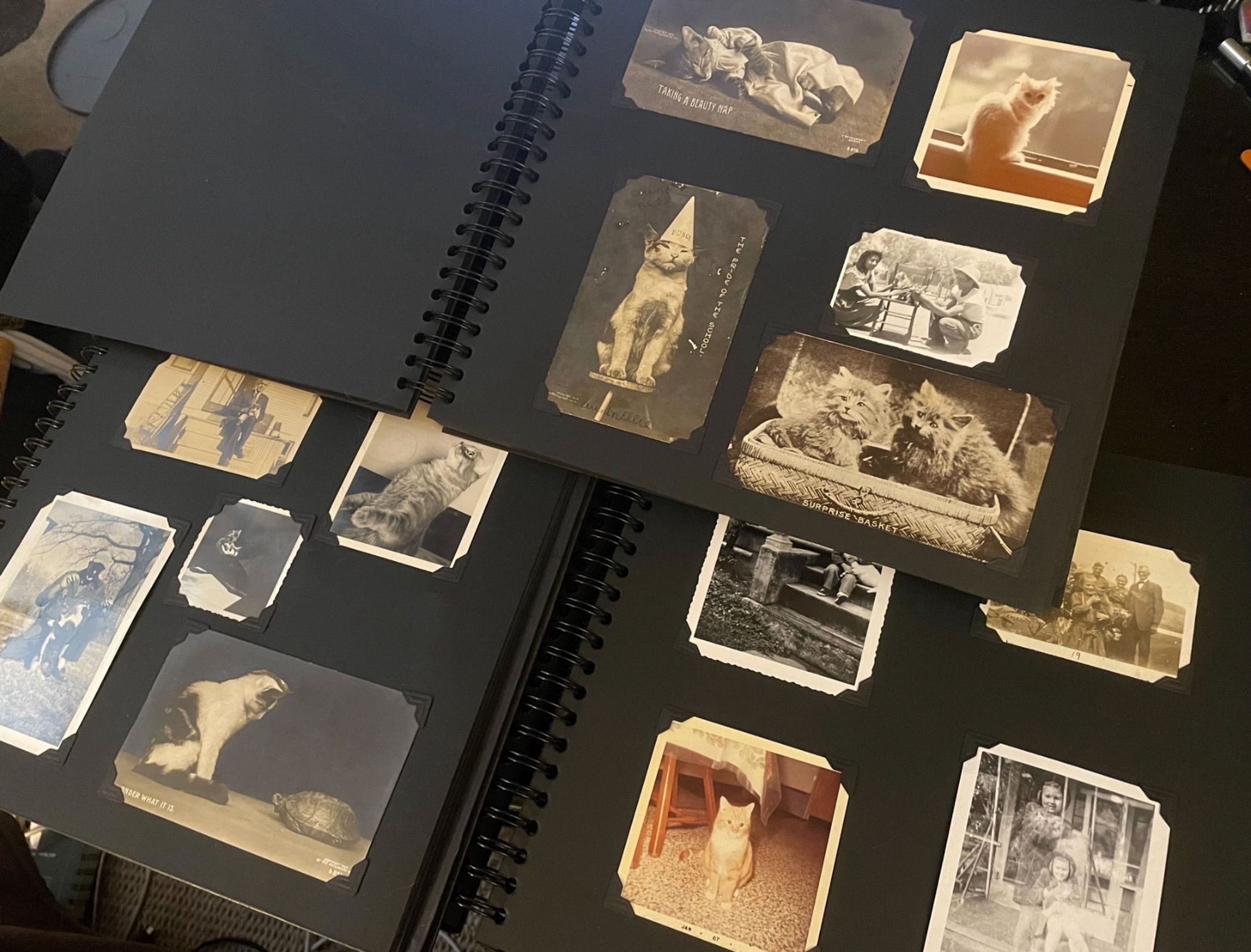 Three large black photo albums with black pages open on a table, displaying photos and postcards that are held on by little old fashioned black photo corners.