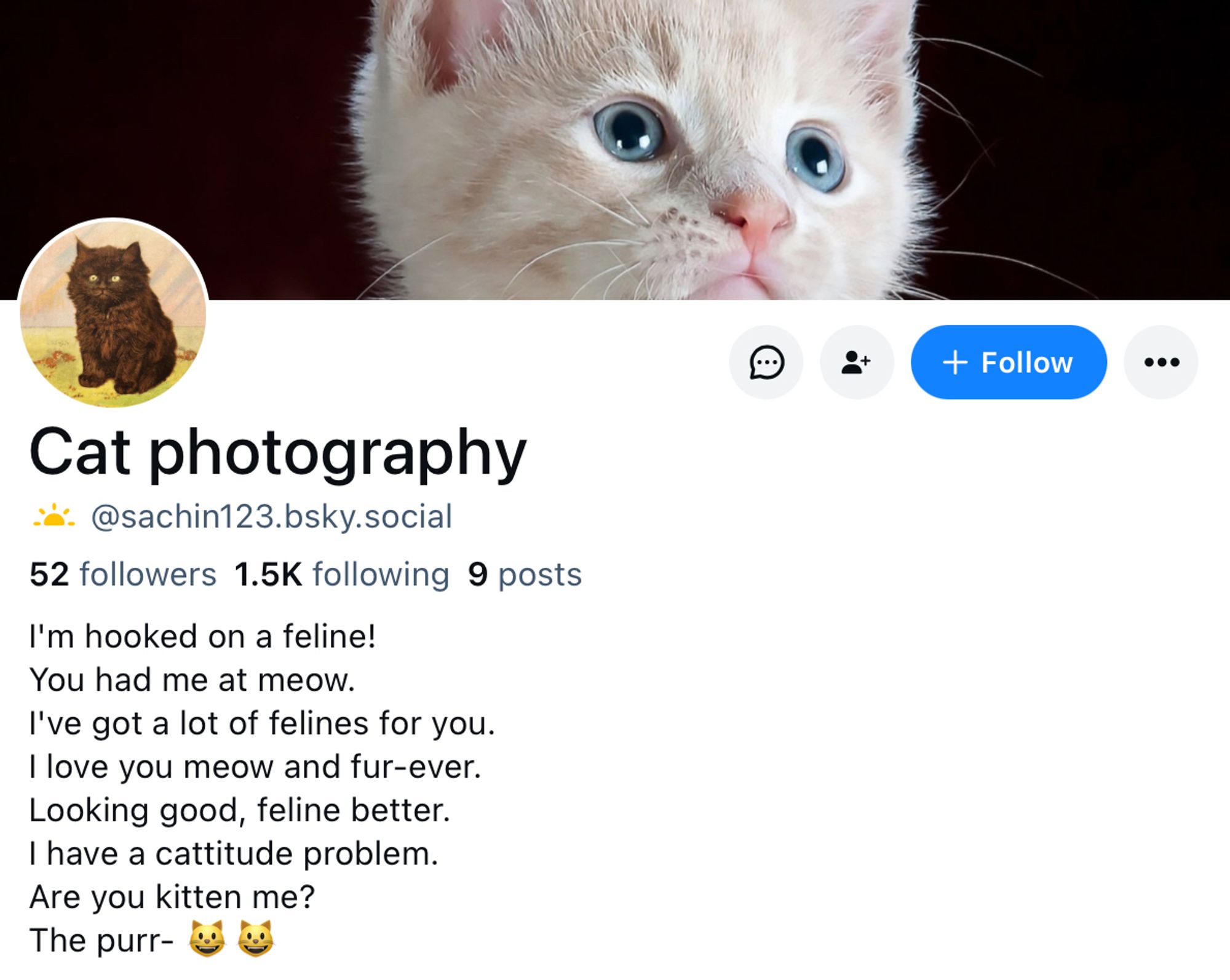 Screenshot of user profile for bluesky user @sachin123.bsky.social. The banner profile is a professional photo of a light ginger kitten with blue eyes. The profile pic is a colorized photo of a chubby black kitten from a vintage postcard and it's what I use for my profile photo. They are following 1.5 thousand people and followed by 52. Their bio reads "I'm hooked on a feline!
You had me at meow.
I've got a lot of felines for you.
I love you meow and fur-ever.
Looking good, feline better.
I have a cattitude problem.
Are you kitten me?
The purr- 😺😺"