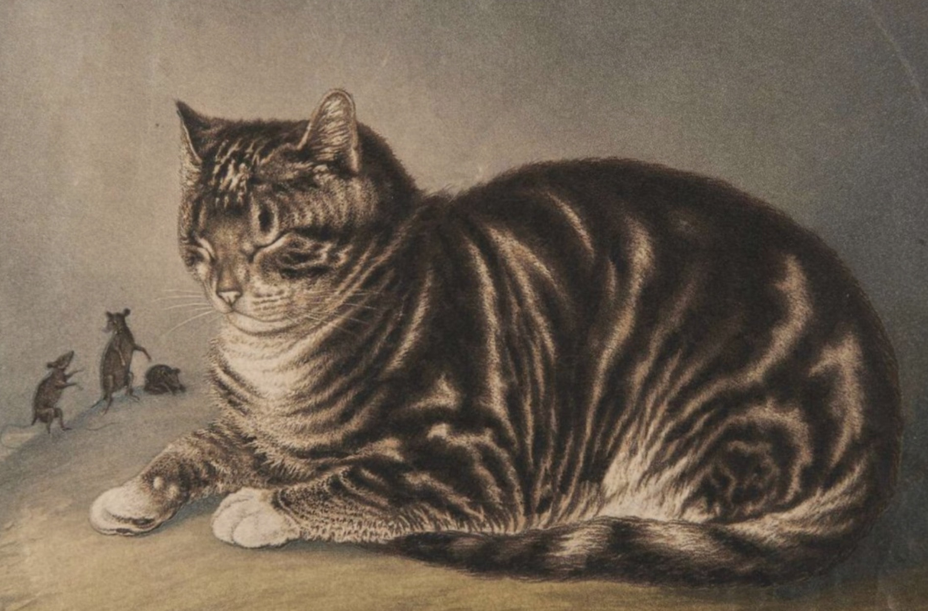 Color print of a chubby, sleeping grey and black shorthaired tabby cat. It is facing left, fully relaxed with its face all scrinched up with deep sleep while three mice scamper nearby.