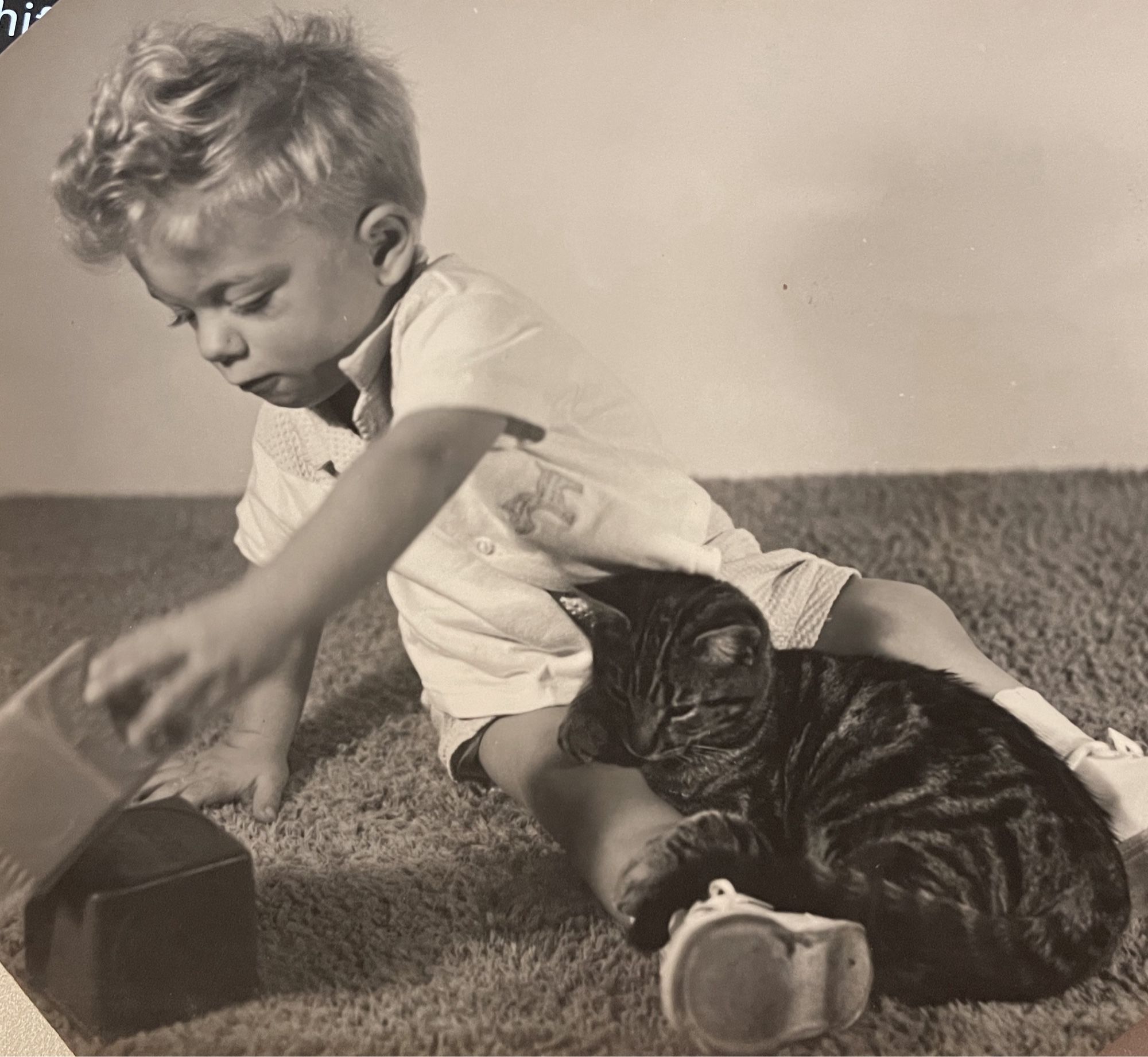 Black and white photo of a blonde, white toddler sitting up on a carpet, leaning sideways so it can play with some blocks beside it without disturbing the shorthaired tabby cat relaxing in its lap.