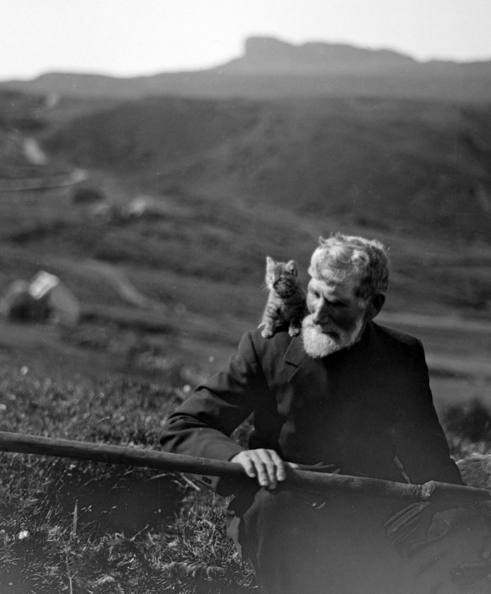 Black and white photo of a handsome older white man with white hair and neat beard, sitting with on a grassy slope with a peat spade across his knees and beautiful rolling hills stretching out behind him. On his shoulder a shorthaired tabby is perched and looks brightly into the distance.