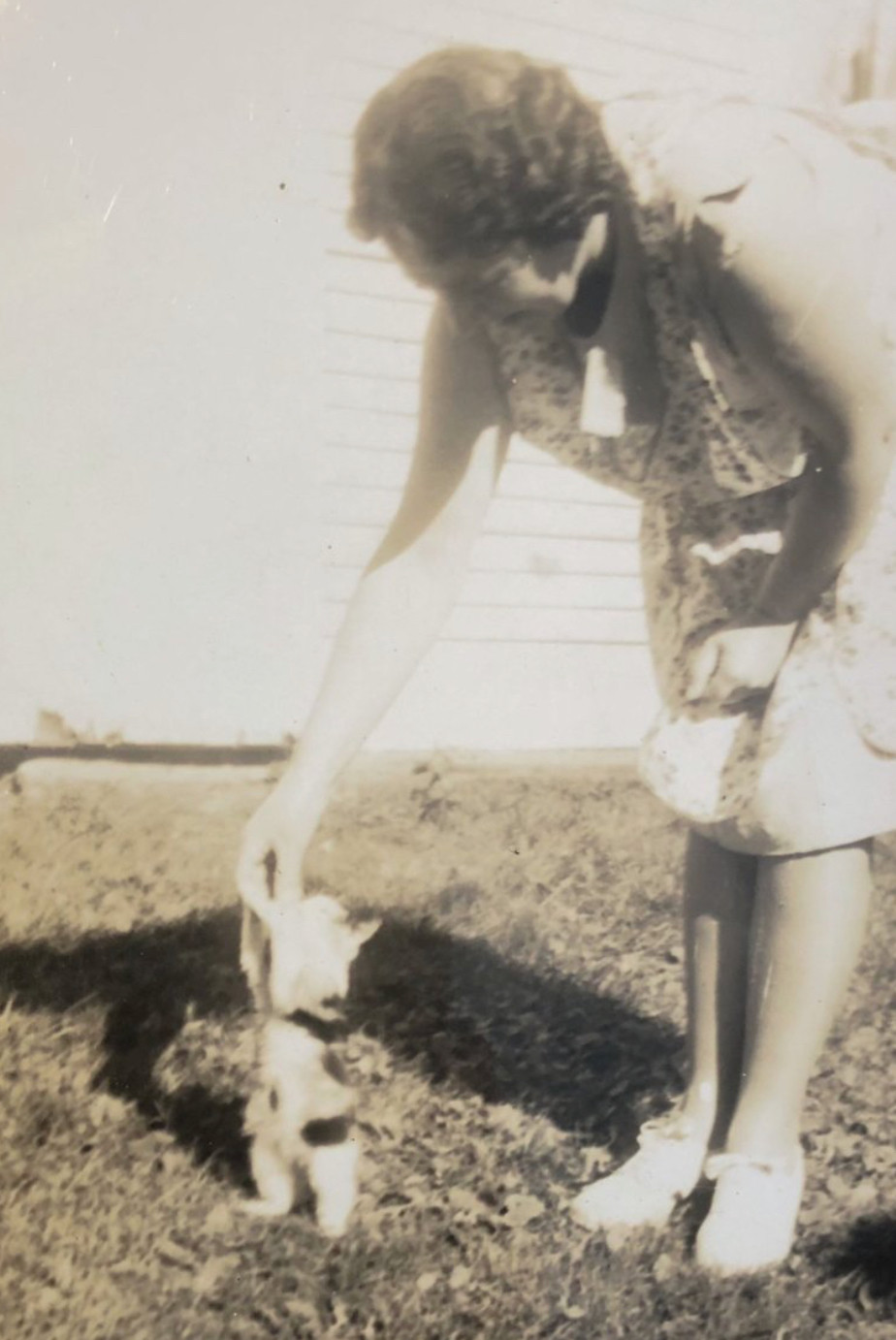 Black and white photo of a smiling woman with dark, curled hair and wearing a light floral sleeveless dress. She's standing on a lawn and leaning forward to engage with a chubby calico kitten. The kitten is standing up on its hind legs to grab her hand with its front paws, either playfully or trying to eat something she has in her fingers.