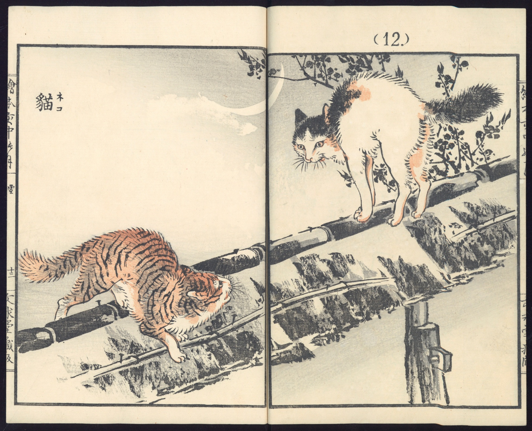 Very amusing ink and watercolor painting of two cats, one orange tabby and one white with black spots and tail, in fighting stances with locked eye contact. The tabby is crouched low and the black and white cat has its back arched and tail poofed. They seem to be on some kind of bamboo and shingle rail of some kind, raised above the ground. A tiny sliver of crescent moon hangs in the very pale blue sky behind them.