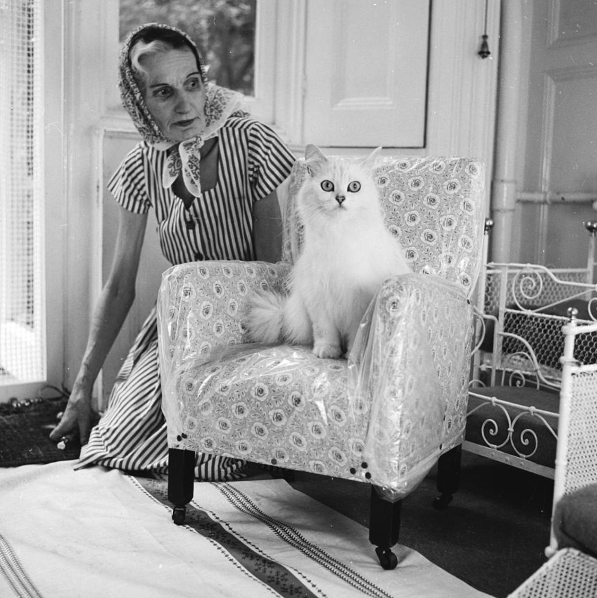 Black and white photo of an older white woman in a striped dress, kneeling on the floor. Next to her is a small, child-sized armchair with floral upholstery and sitting on the chair is a beautiful white cat which looks at the camera with a slightly wary or stressed expression. Maybe it's just insulted by the plastic chair cover.