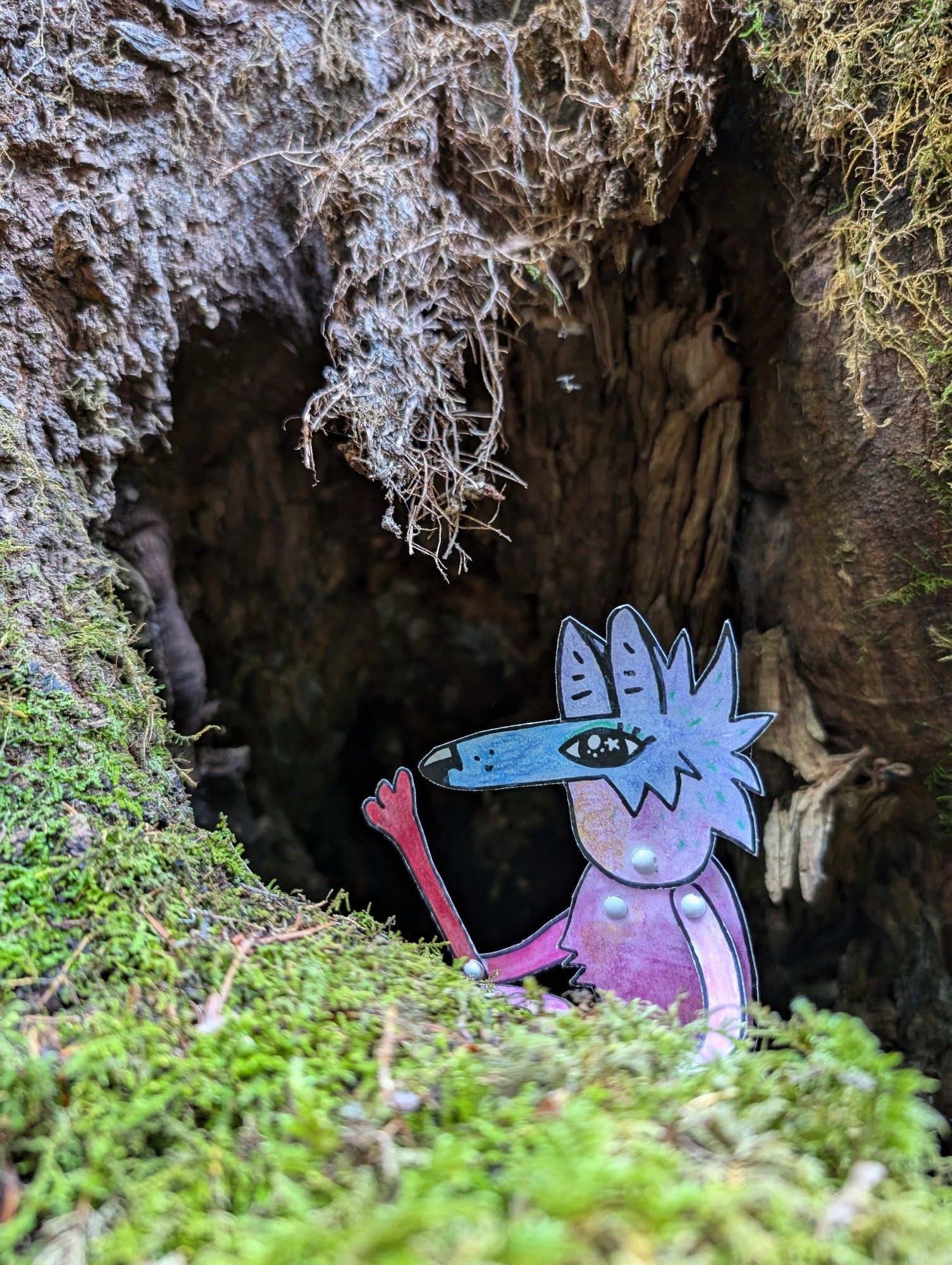 A colorful paper coyote character waves at you from a deep hole made by a tree stump