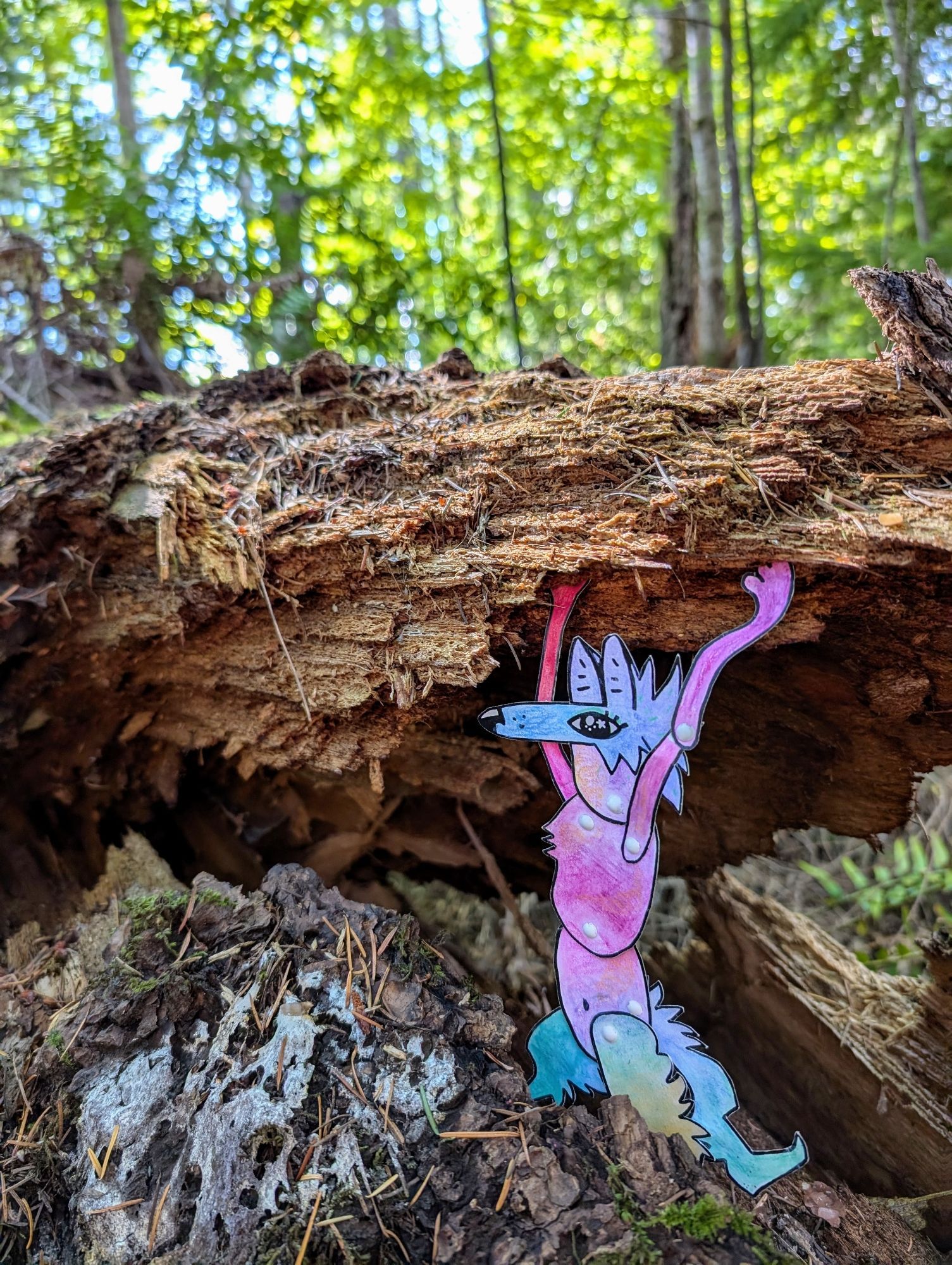 A colorful paper coyote character pretends to lift a chunk of broken wood away from a log. (It in fact was already like this but they insisted on the photo-op.)