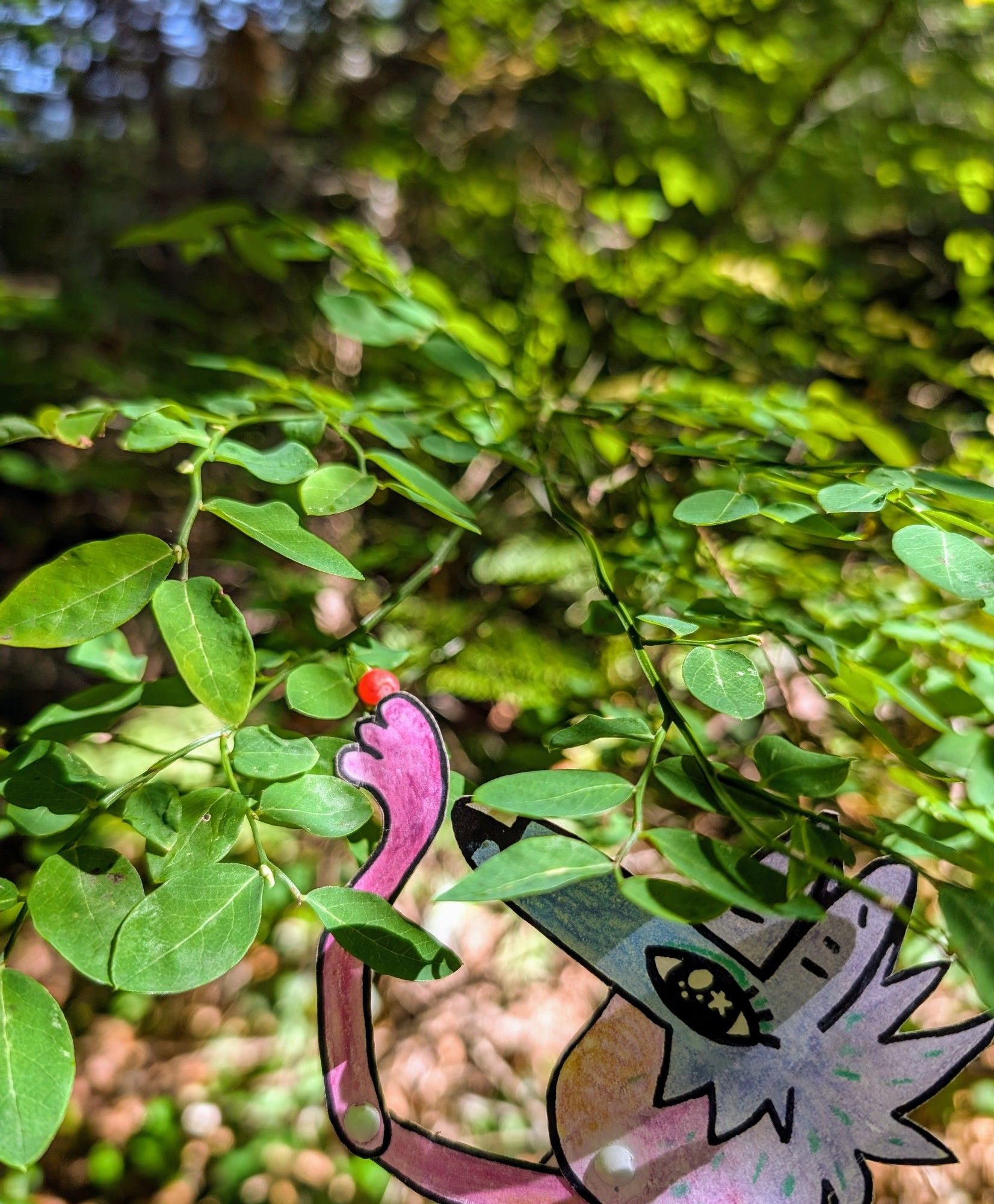 A colorful paper coyote character reaching for the last red berry on a bush