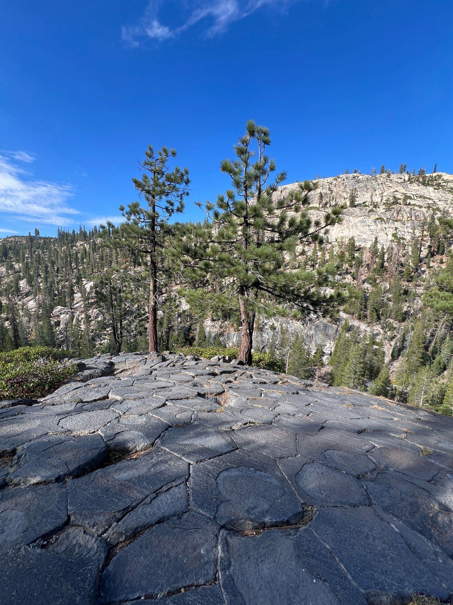 A view looking from the top of Devil Postpile. There are multiple columns of hexagon basalt columns that are flat. There are two short pine trees in the immediate foreground and a conifer forest covered granite hill on the background with a mostly blue sky.

From Wikipedia:

The Postpile's columns average 2 feet (0.61 m) in diameter ("The columns vary in size from ten to 30 inches in diameter."[3]), the largest being 3.5 feet (1.1 m), and many are up to 60 feet (18 m) long.
Together they look like tall posts stacked in a pile, hence the feature's name. If the lava had cooled perfectly evenly, all of the columns would be expected to be hexagonal, but some of the columns have different polygonal cross-sections due to variations in cooling.