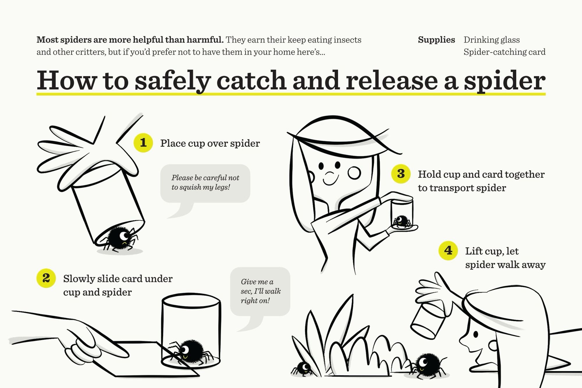 A graphic illustration of how to catch a spider.

Text:

How to safely catch and release a spider

Most spiders are more helpful than harmful. They earn their keep eating insects and other critters, but if you'd prefer not to have them in your home here's How to safely catch and release a spider:
Supplies
Drinking glass
Spider-catching card

1 Place cup over spider
(Please be careful not to squish my legs!)

2
Slowly slide card under cup and spider
(Spider: Give me a sec, I'll walk right on!)

3 Hold cup and card together to transport spider

4
Lift cup, let spider walk away