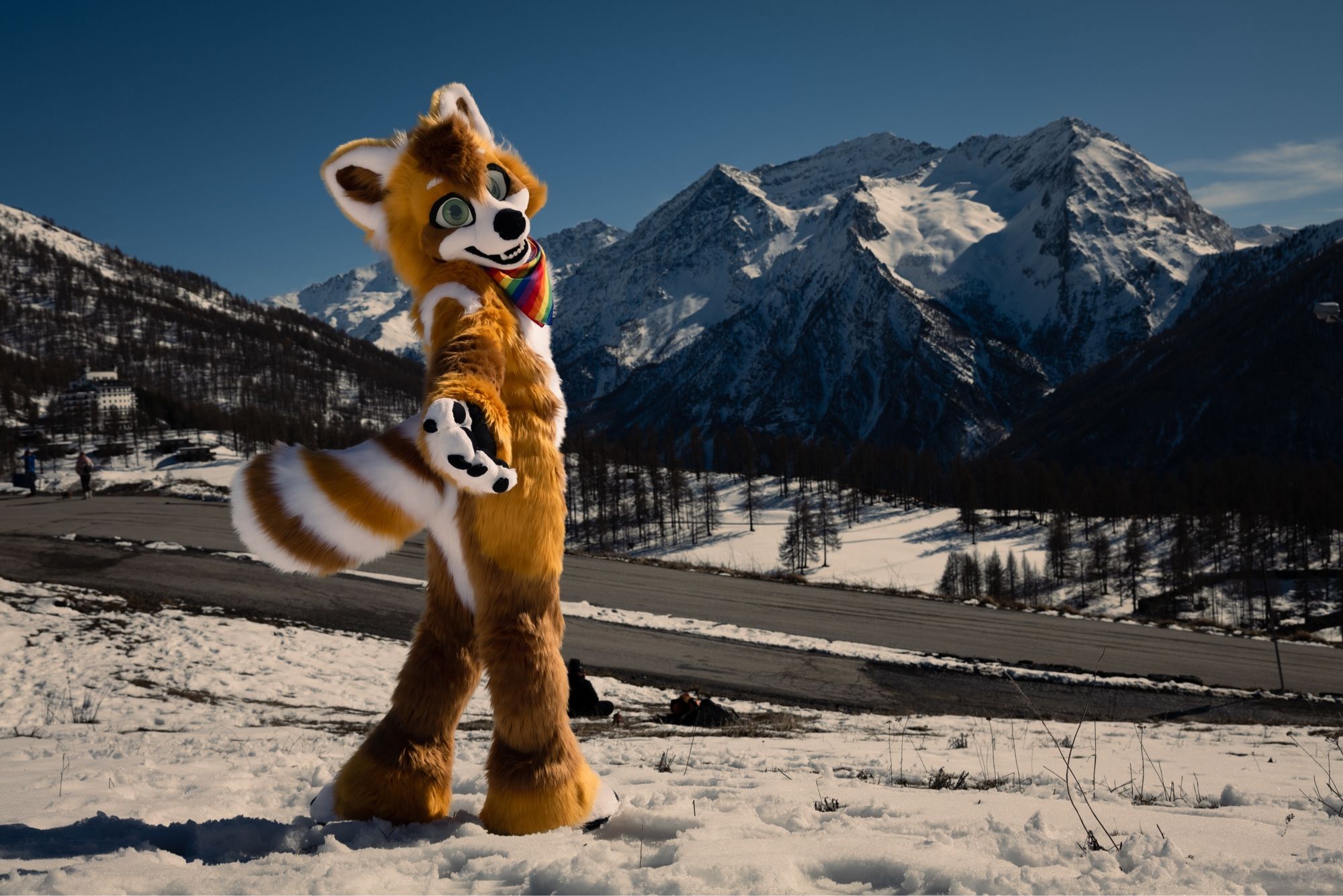 Red panda Fursuit looking at the camera while in the snow. Mountain background