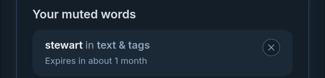 a screenshot that reads: "Your muted words

stewart in text & tags

Expires in about 1 month"