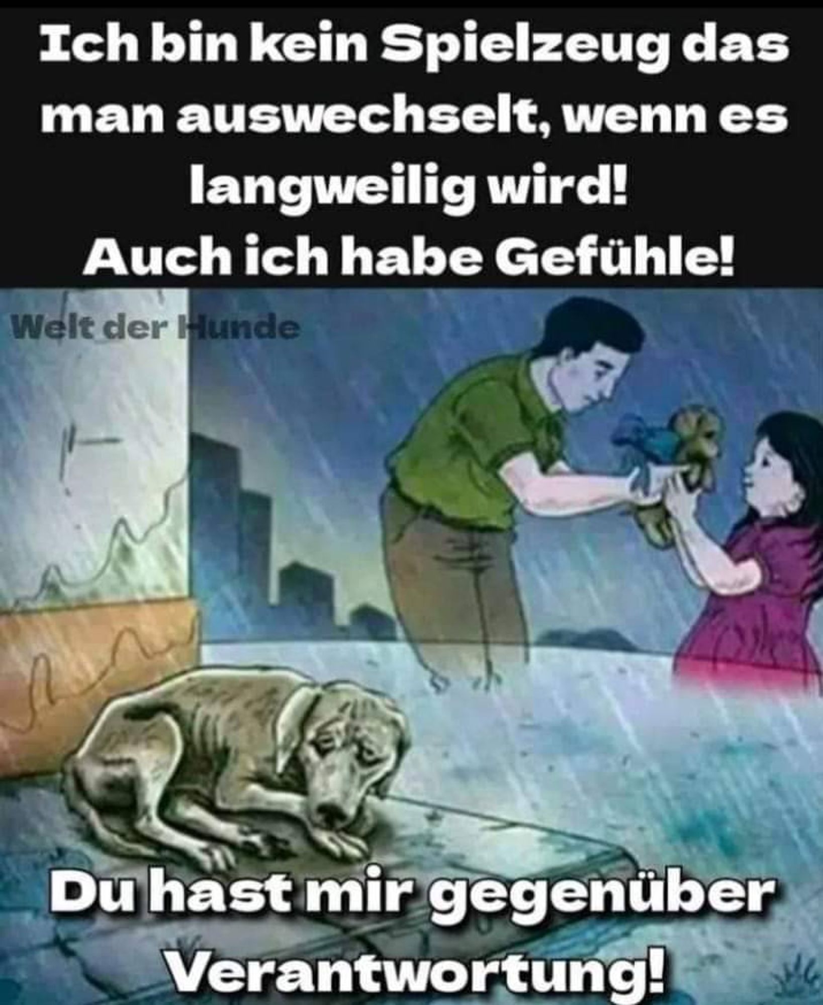 WIE WAHR!😪
Seid euch eurer Verantwortung wenn ihr ein Tier adoptiert stets bewusst, behandelt es von Anfang bis zum letzten Atemzug liebevoll und fürsorglich als Familienmitglied, und verschenkt Sachen aber keine Tiere!