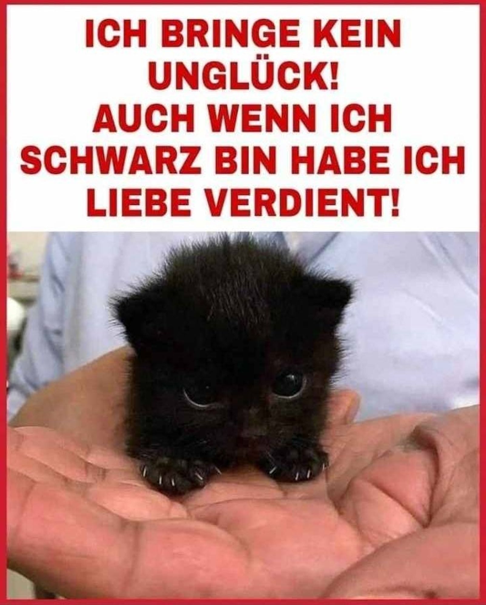 SCHWARZE TIERE SIND BESTIMMT KEINE UNGLÜCKSBRINGER!!!
SIE BRINGEN GLÜCK🍀 UND GANZ VIEL LIEBE! ❤️