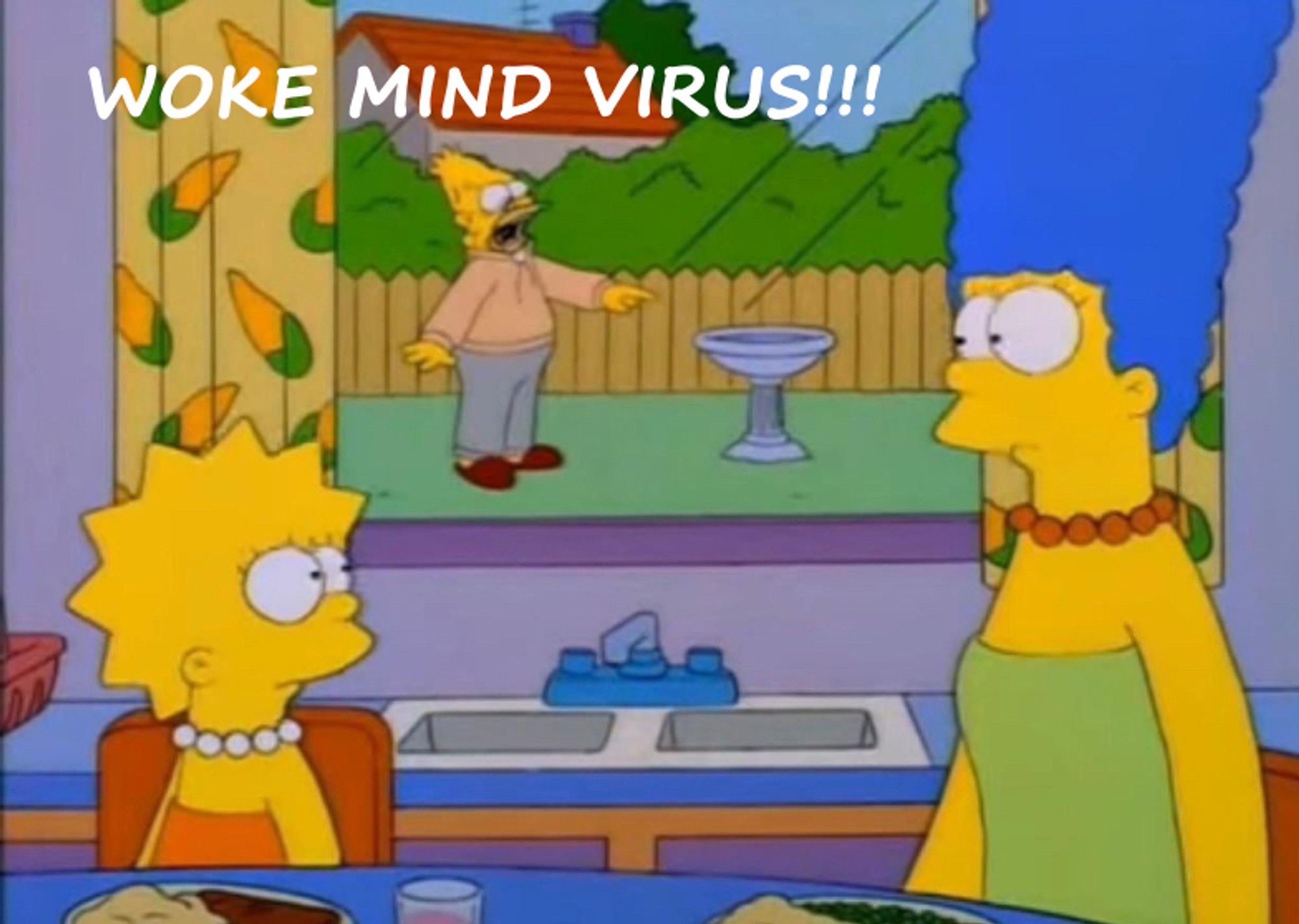 Abe Simpson yelling “WOKE MIND VIRUS” at a birdbath