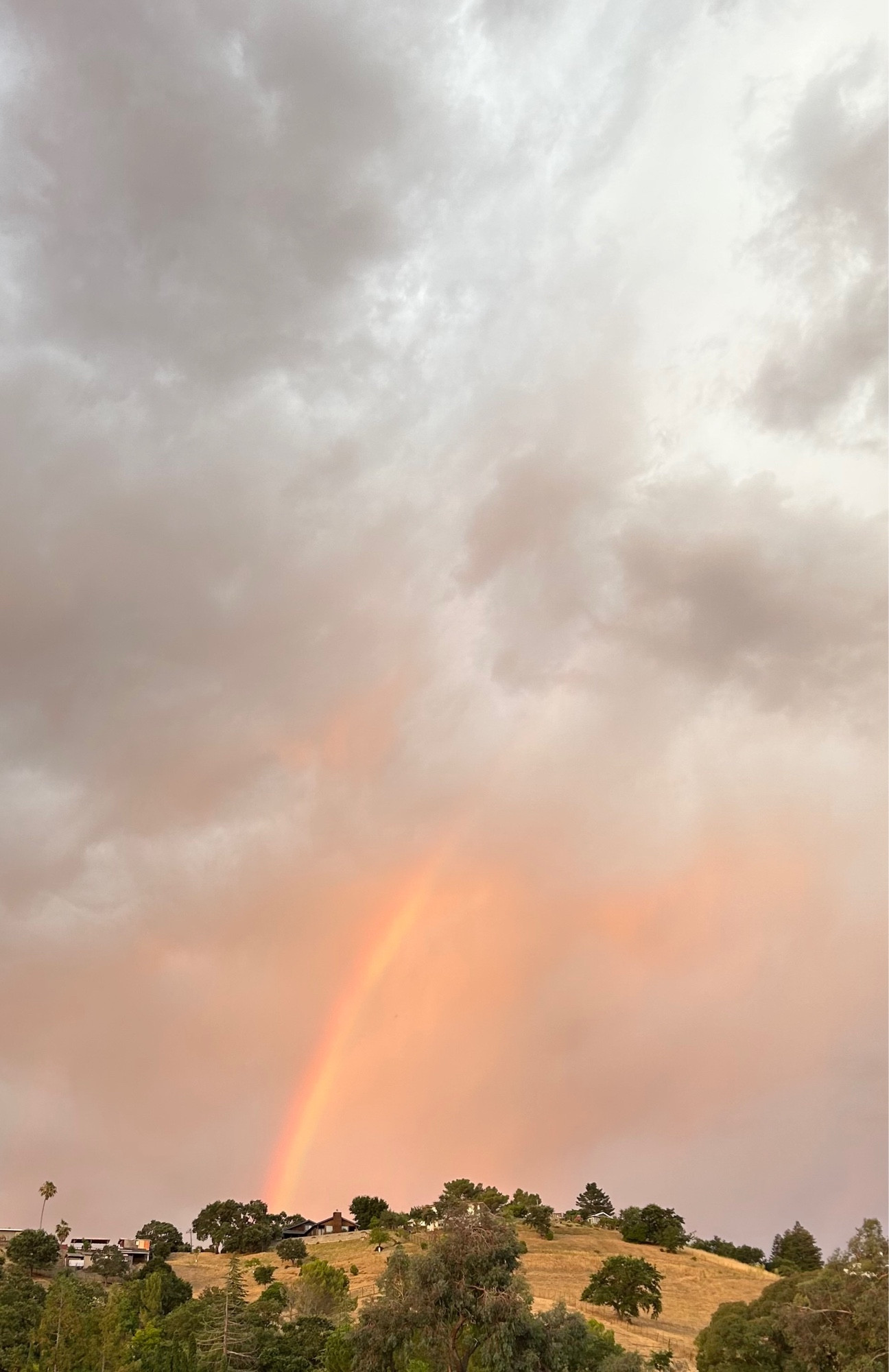 Rainbow reaching for the sky just to surrender 